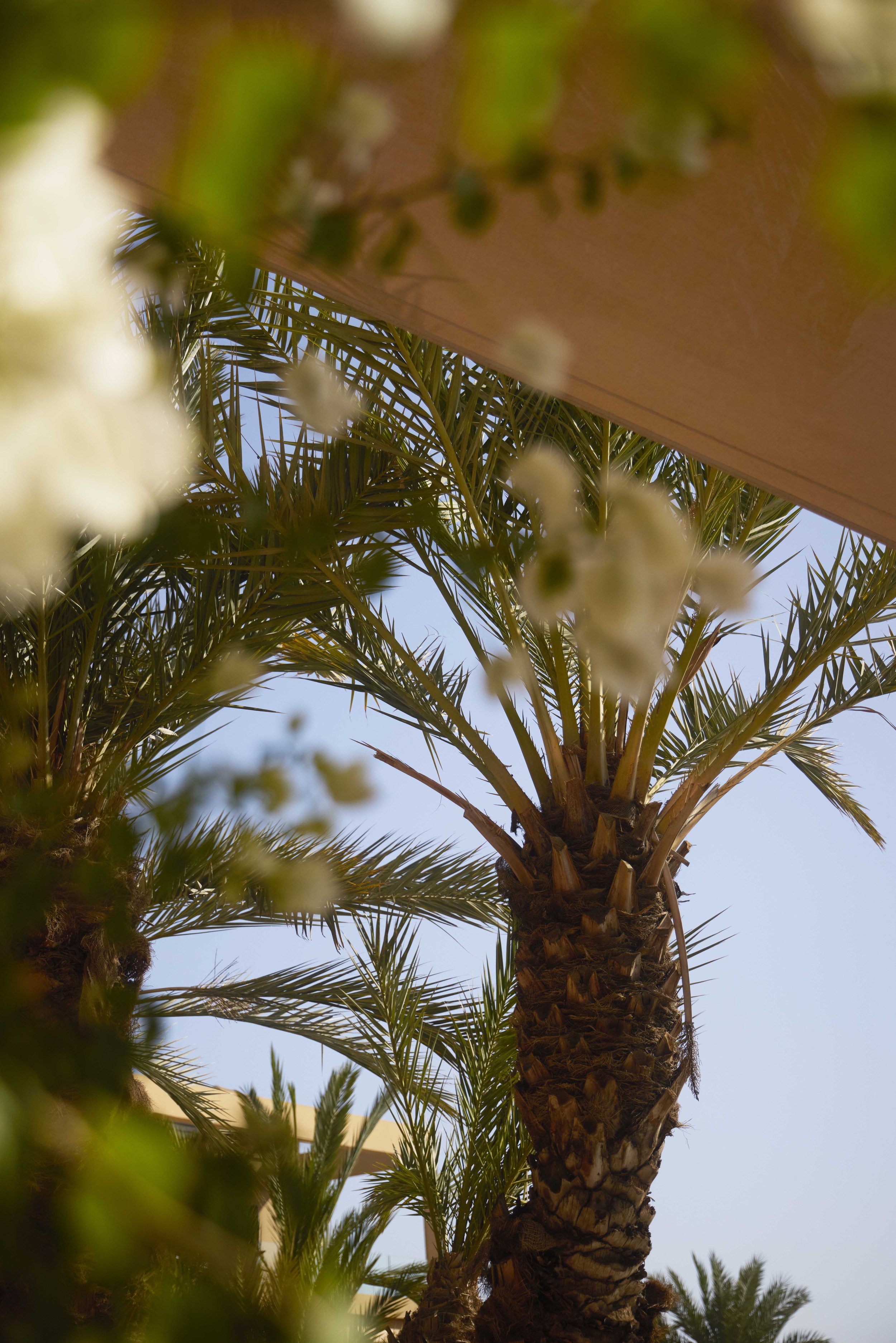 IMG_2727 RT WEBSITE copy.jpg