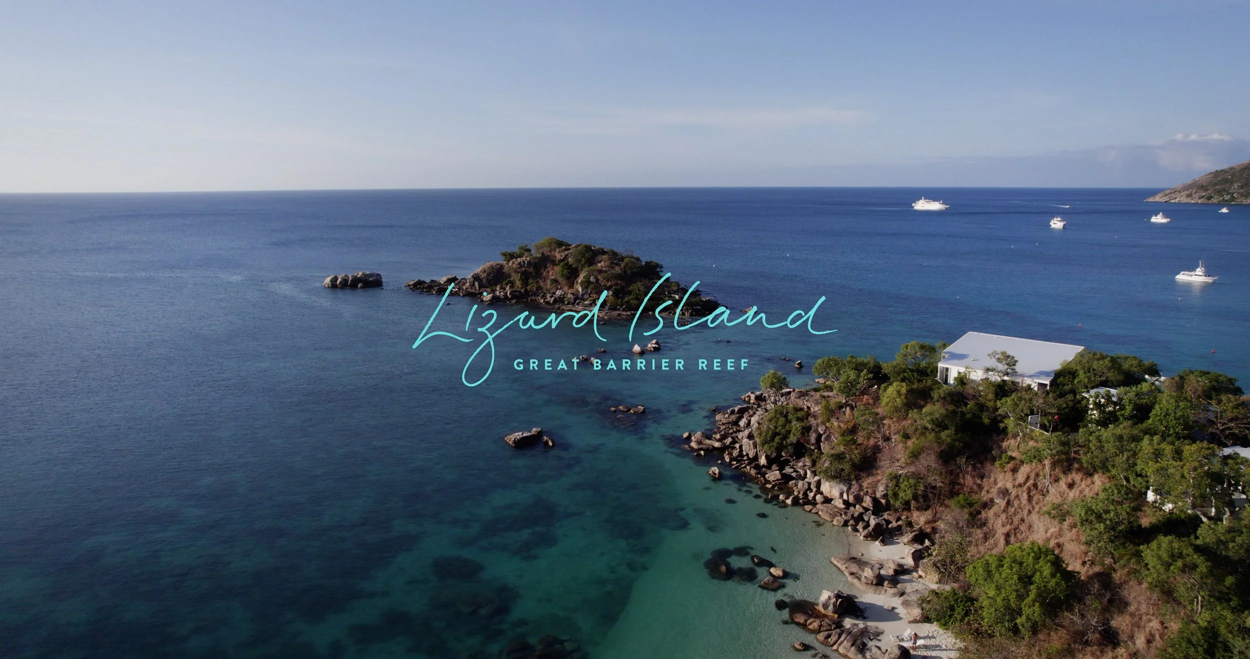 LIZARD ISLAND 1 STILL 2 copy.jpg