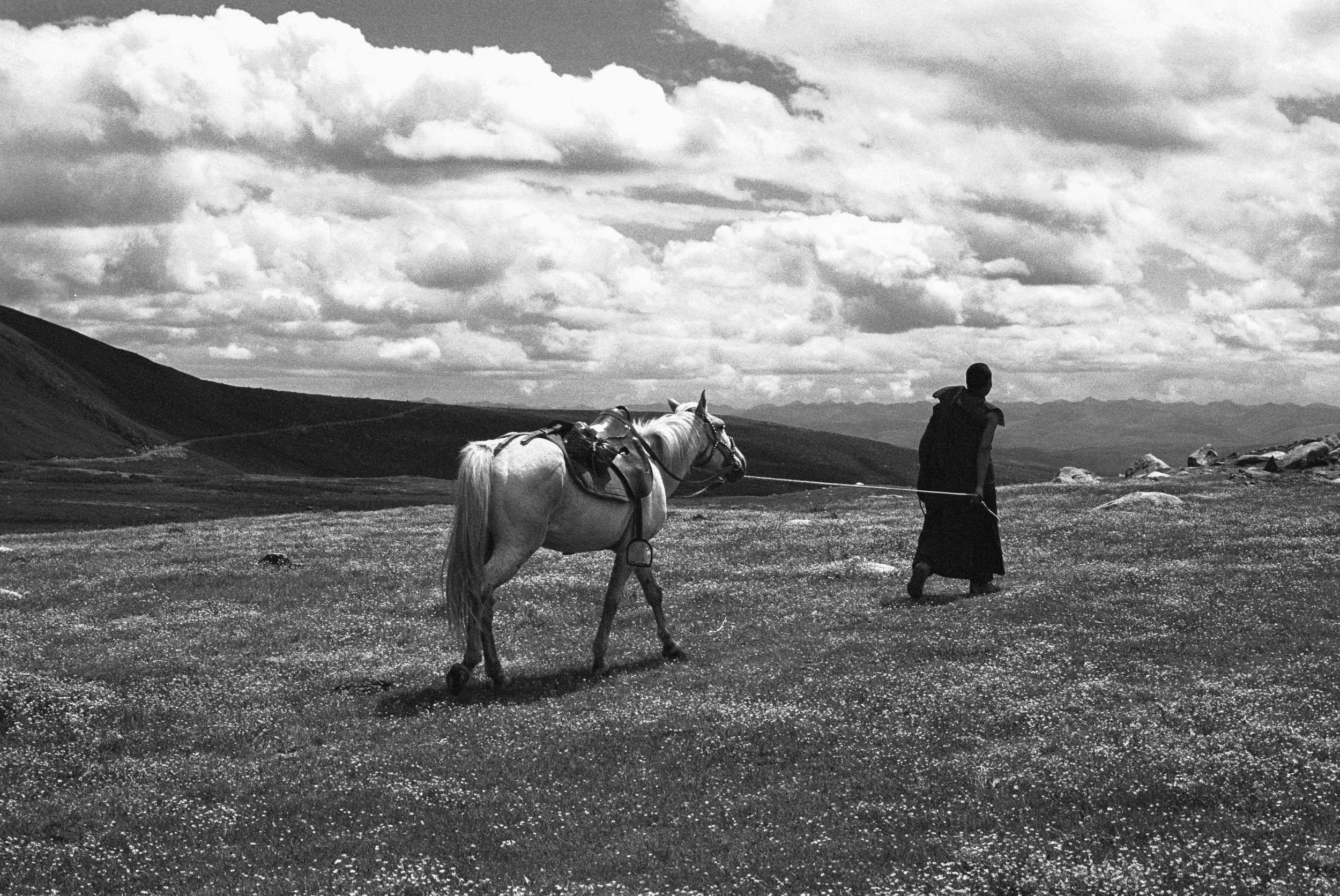 The Journey Ahead (2023)