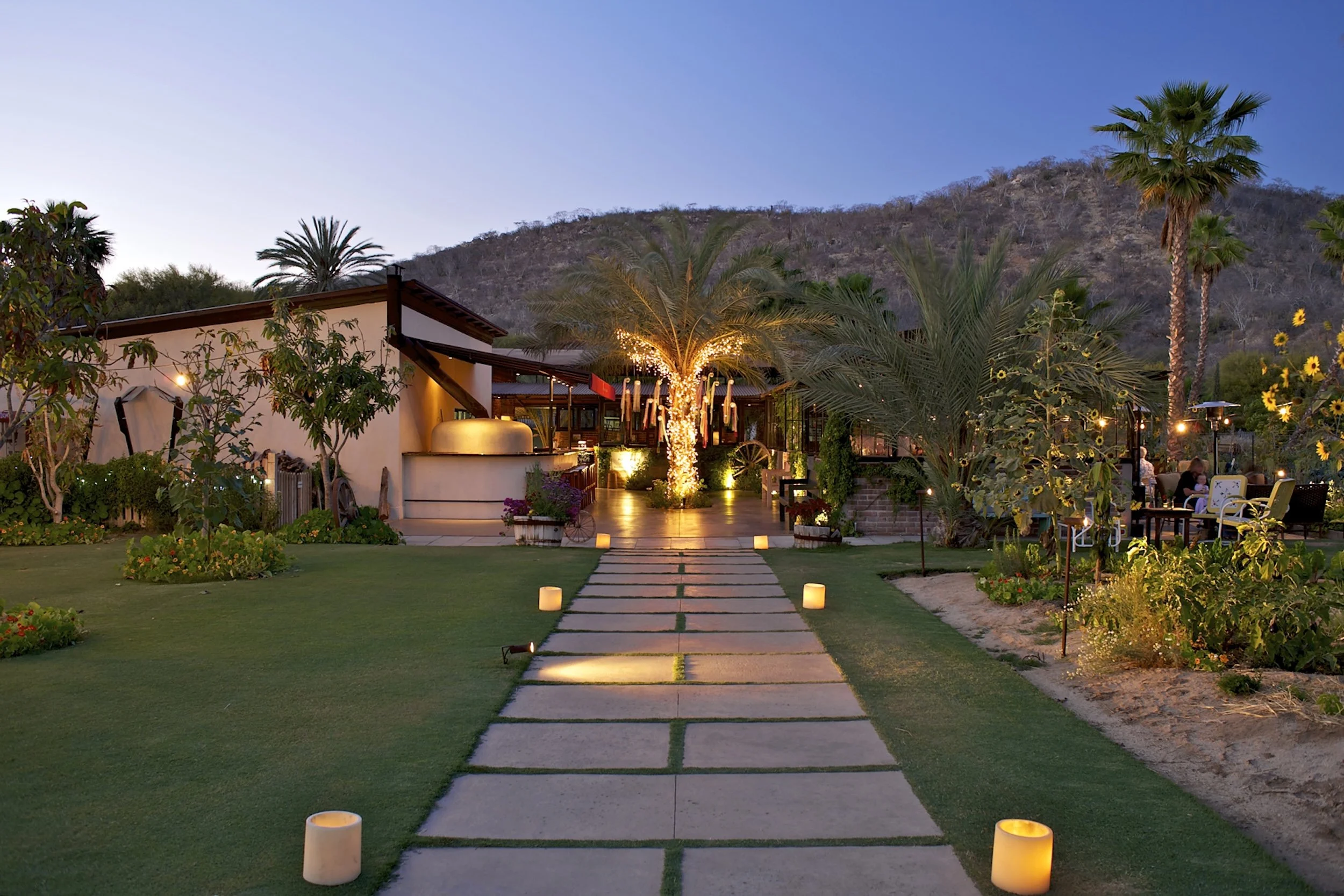 Outdoor patio with a stone pathway, surrounded by green grass, plants, and palm trees, leading to a cozy lighting area with seating, lights, and a mountain backdrop at dusk.