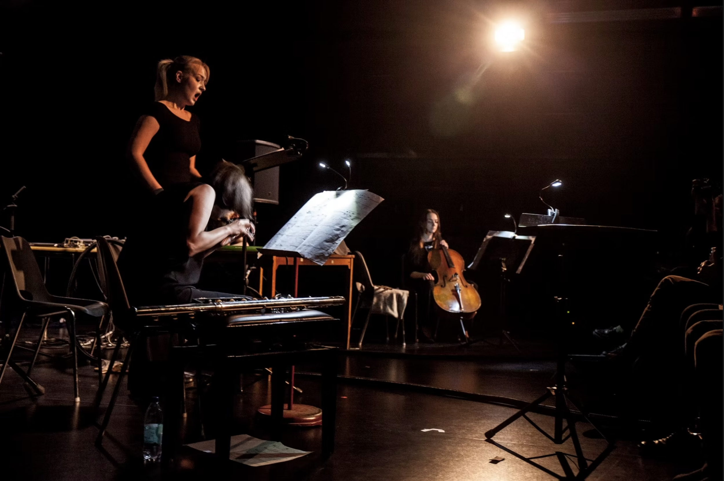 Sound of Stockholm Festival
Composer: Alfred Jimenez, Text: My Roman Fagerlind, Conductor: Jaime Volfson, Bass Flute/Piccolo: Elena Gabbrielli, Bass Clarinet: Szilárd Benes, Voice: Elisabeth Ekberg, Mari Galambos Grue, Violoncello: Anna Maria Niemiec