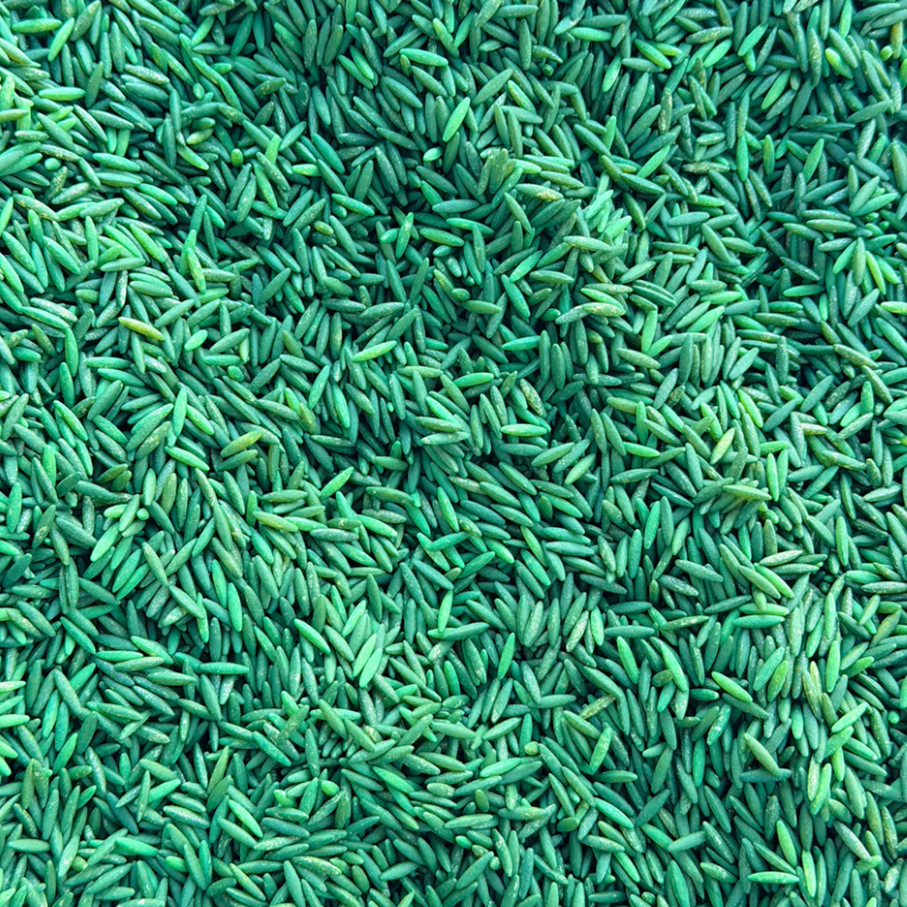 Green Rice and Orzo Blend- 3 Cups