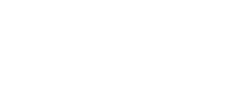 TRENDEX STONEWORX