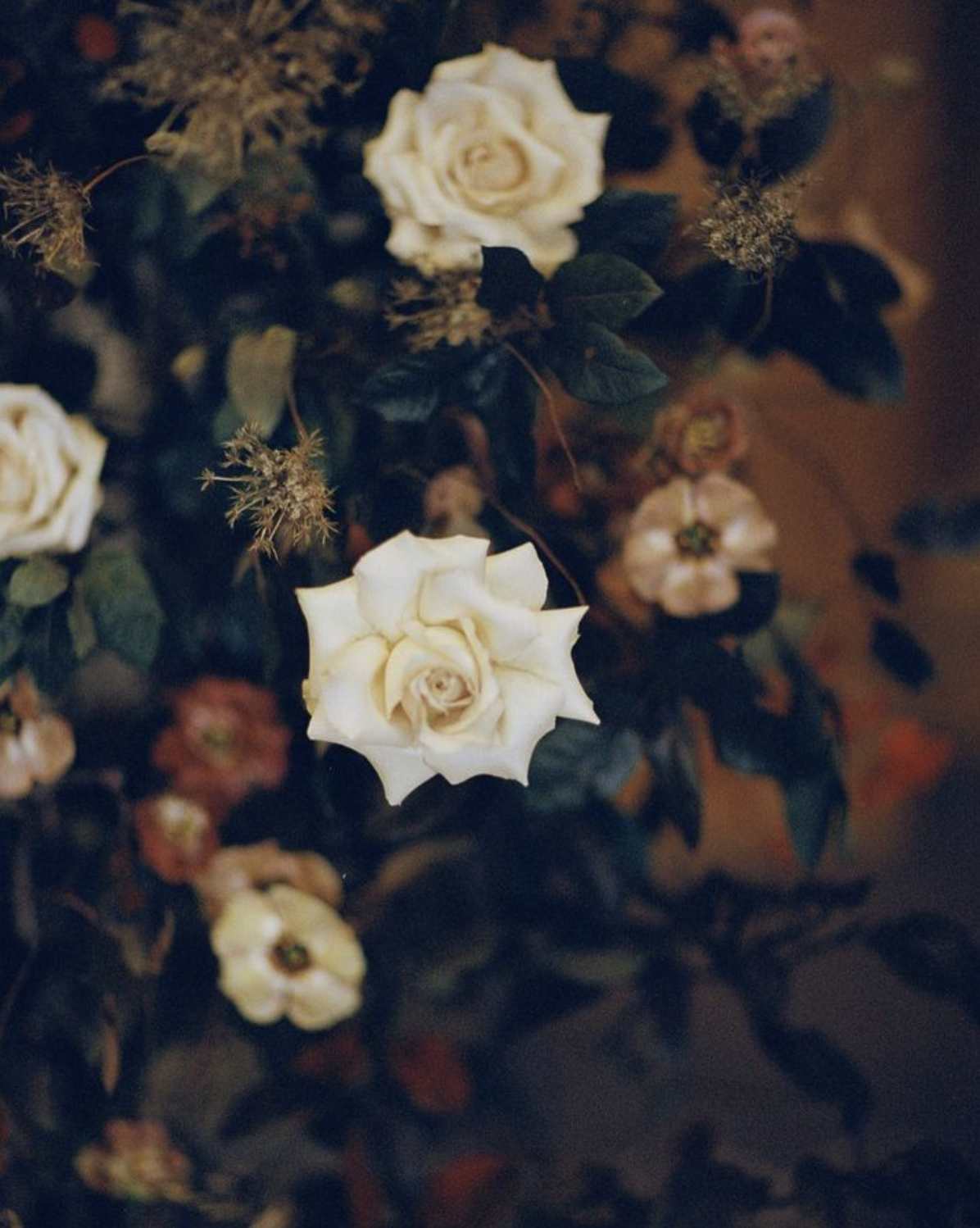 Screen Shot 2023-10-10 at 7.45.11 PM.png