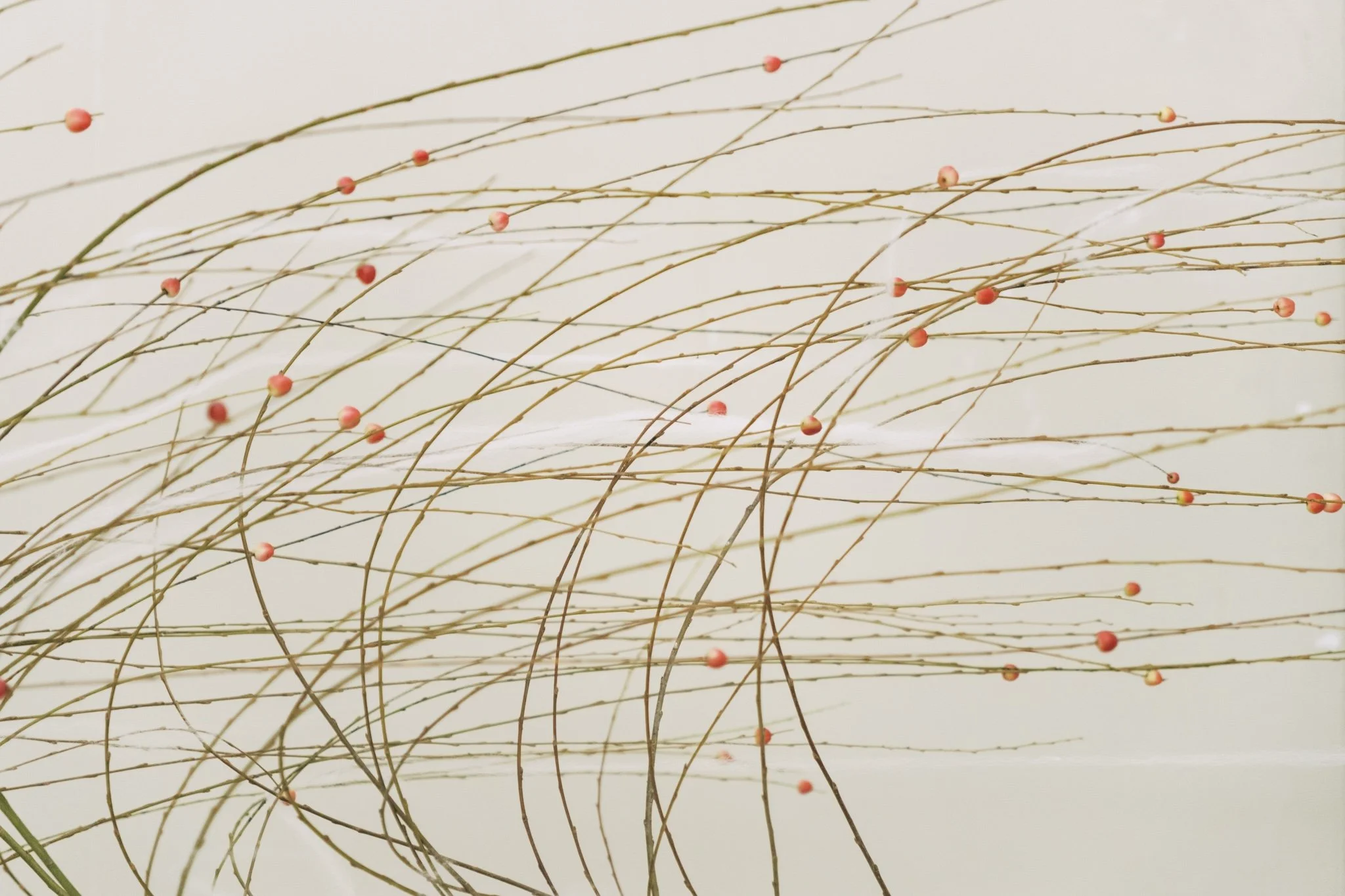 SZ RED BEAN STYLED SHOOT-0009(1).jpg