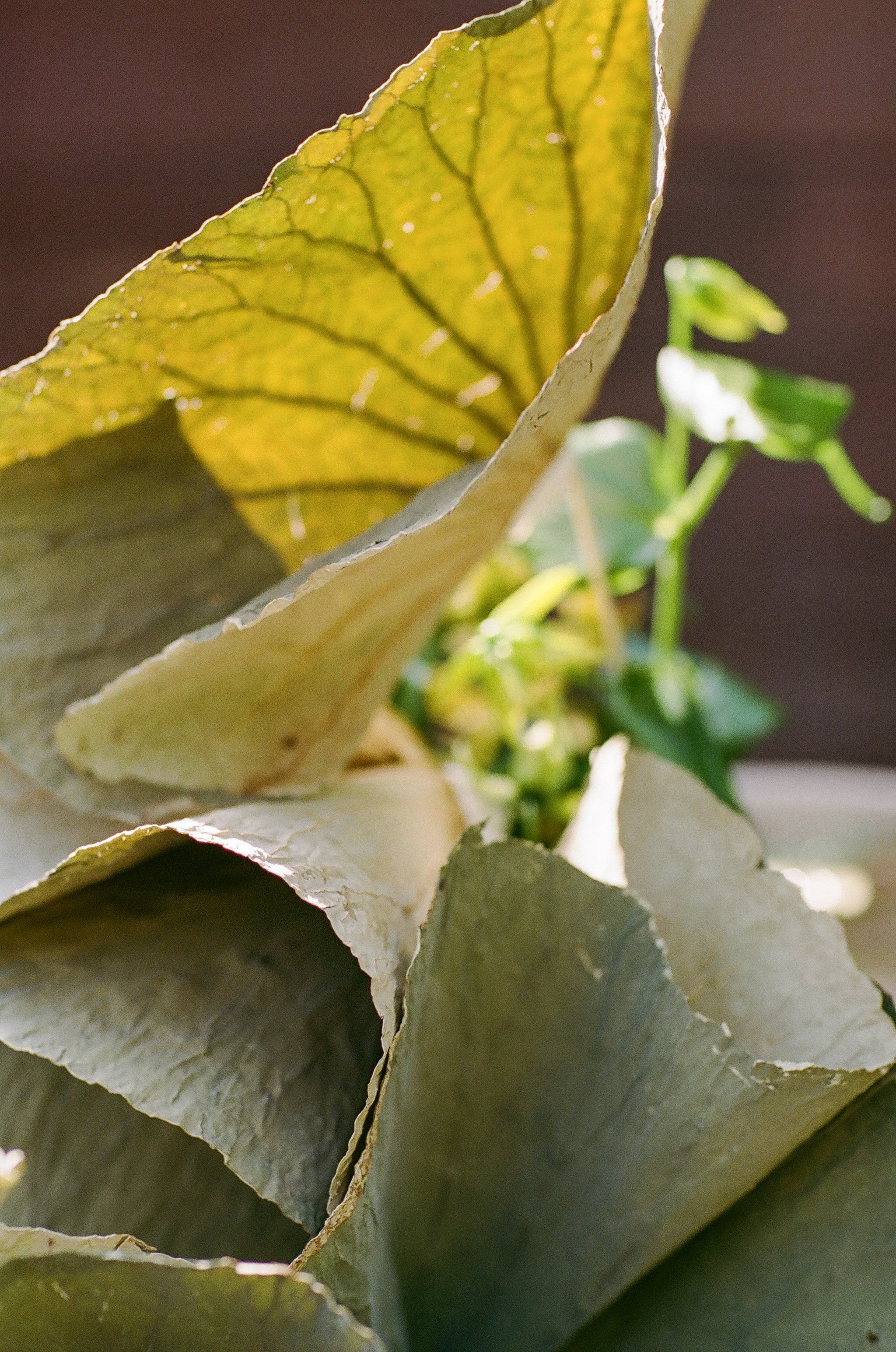 FOUR ONE NINE Emily Magers Photography-287.jpg