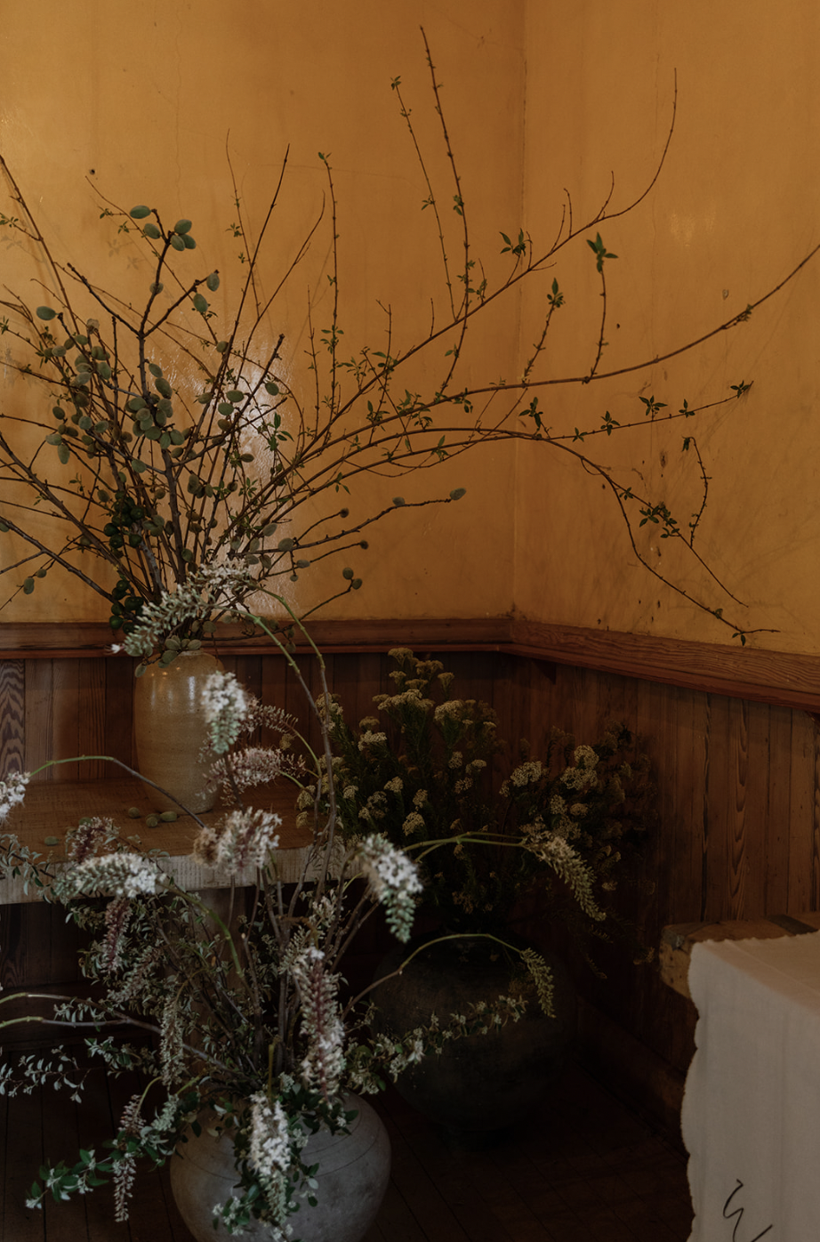 Screen Shot 2023-10-10 at 7.59.03 PM.png