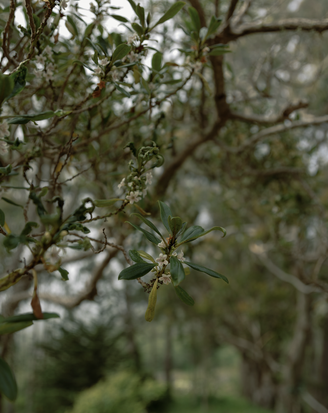 Screen Shot 2023-10-10 at 8.02.39 PM.png