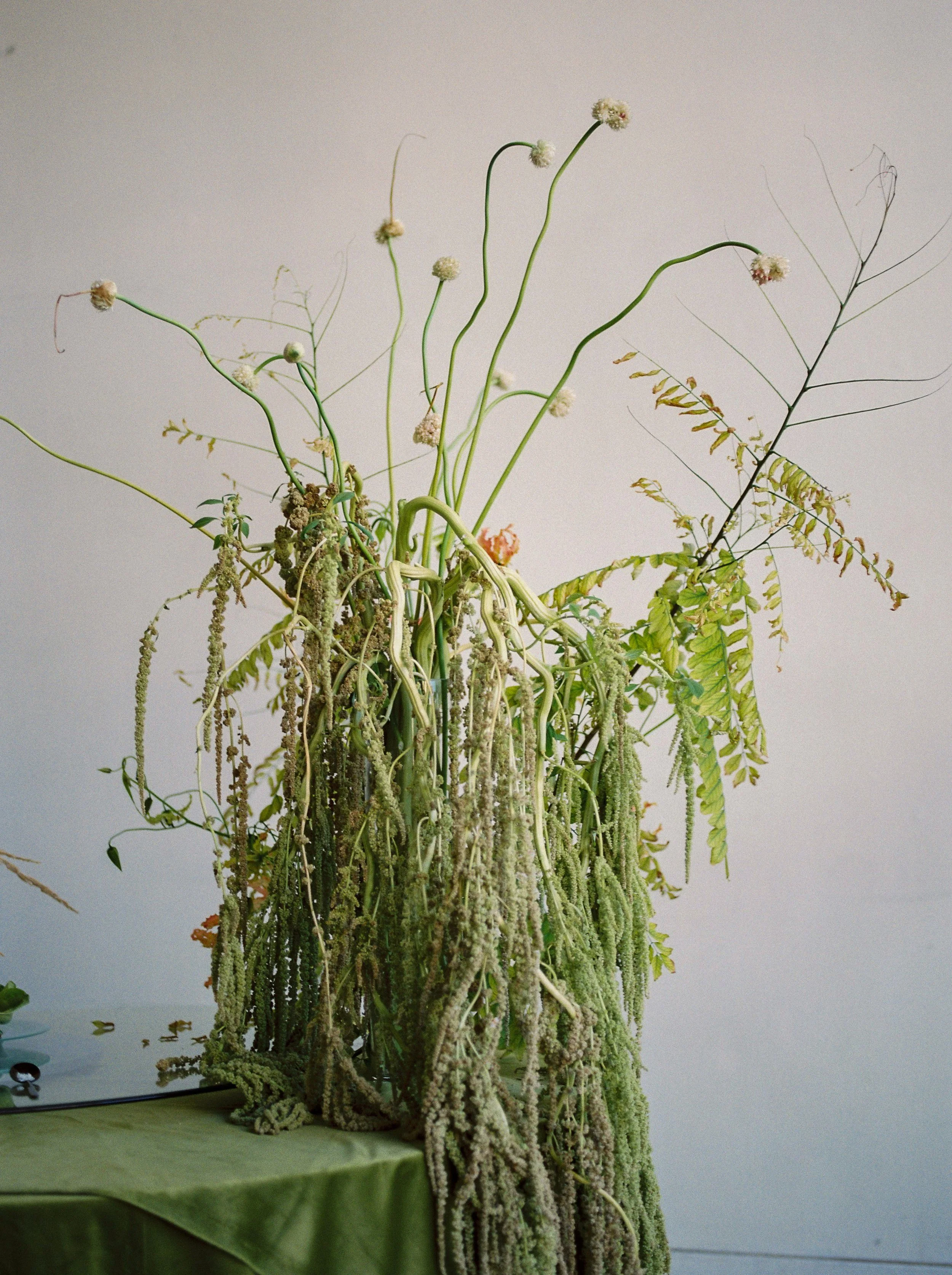 202_Creative_TheLandscape_AlbumStudio_MaricleKangPhoto.jpg