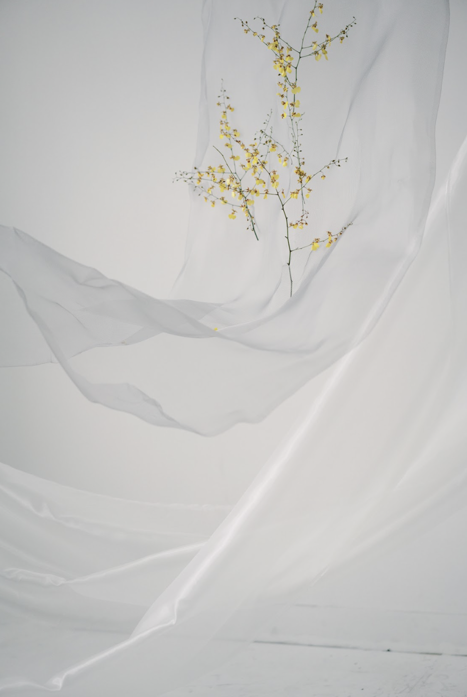 Screen Shot 2023-10-11 at 2.07.19 PM.png