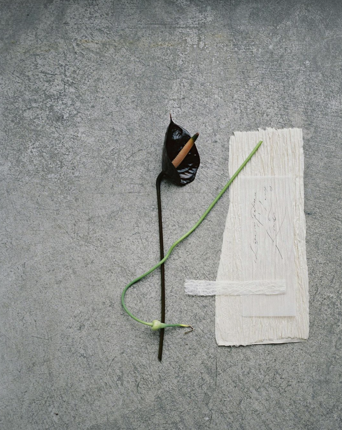 Screen Shot 2023-10-10 at 7.38.13 PM.png