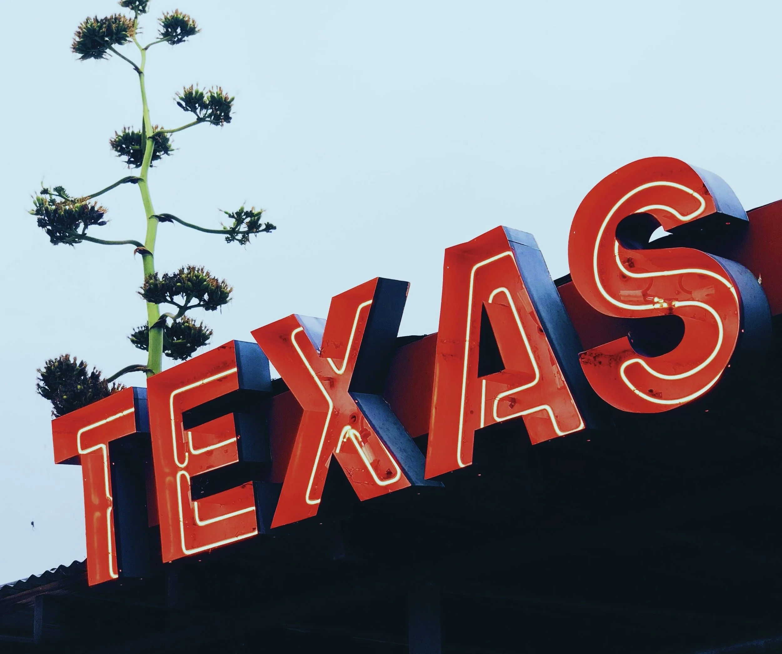 Die deutsche Prägung in Texas – Eine lebendige Brücke zwischen Kulturen