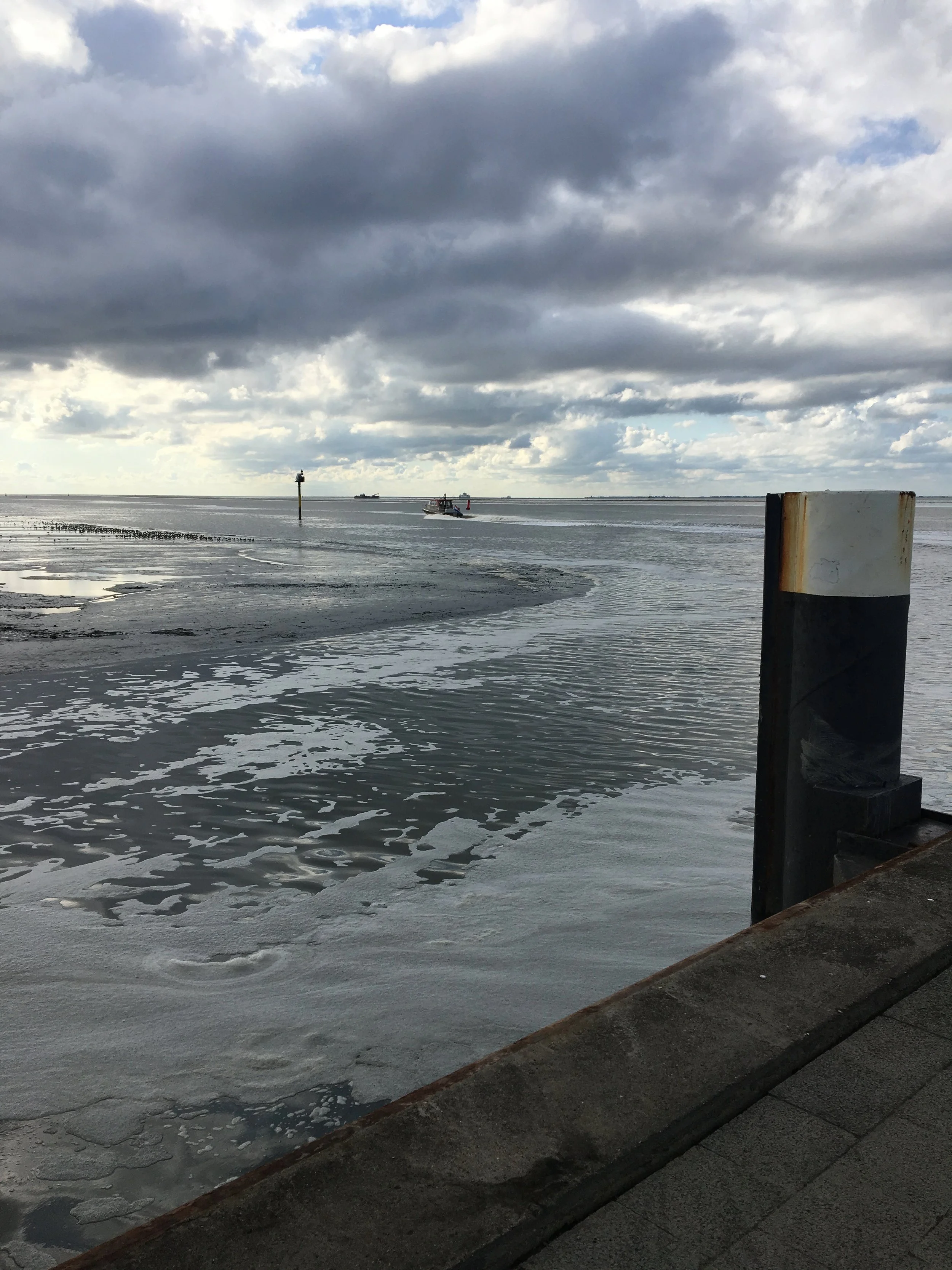 Inspiration for Rainy Day 1 & 2