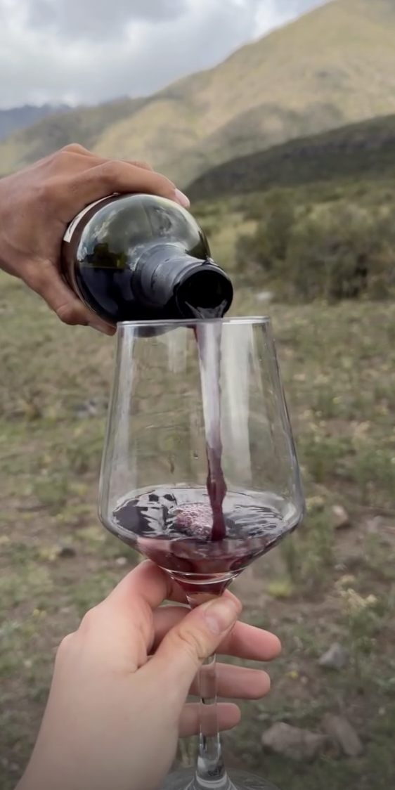 Person pouring red wine into a glass outdoors with a mountainous landscape in the background.