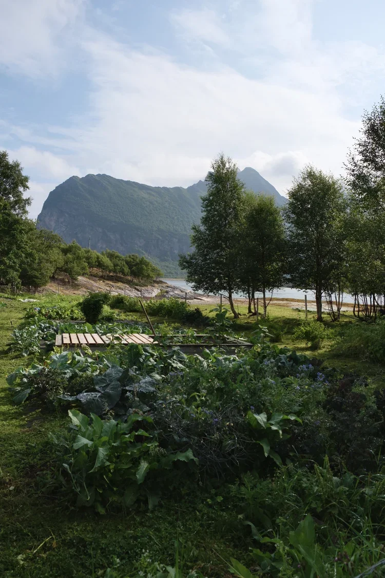 farm-manshausen-island-sea-cabin-on-stilts-lofoten.webp