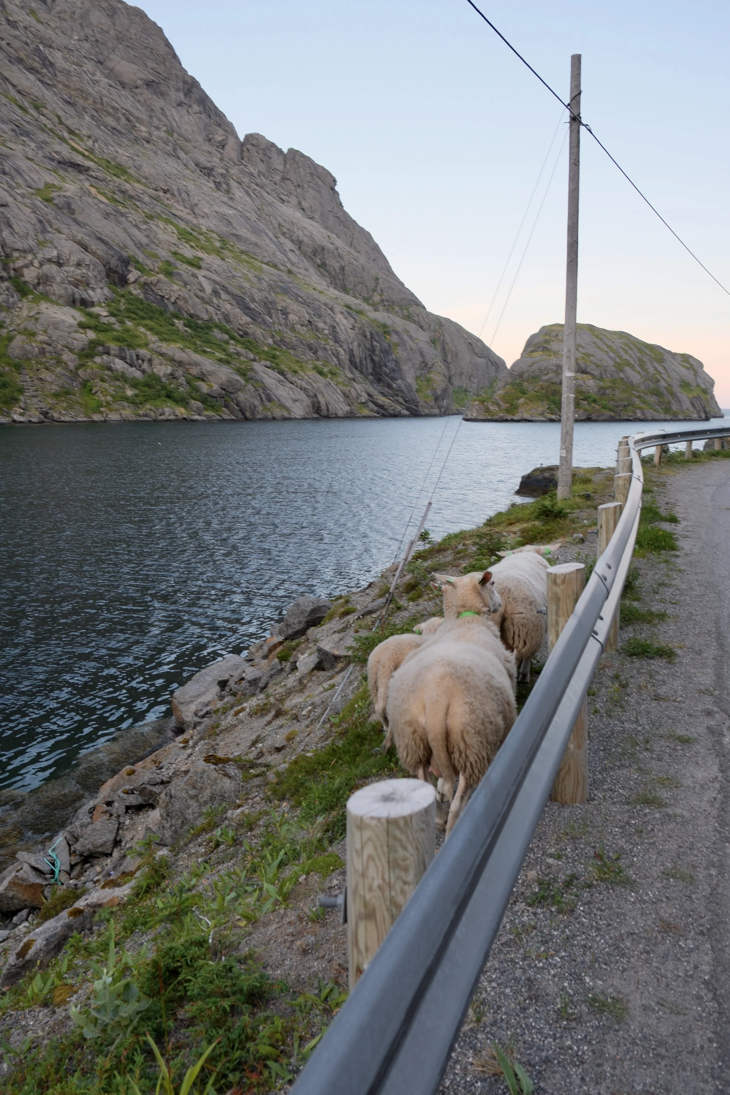 DSCF6556.jpg