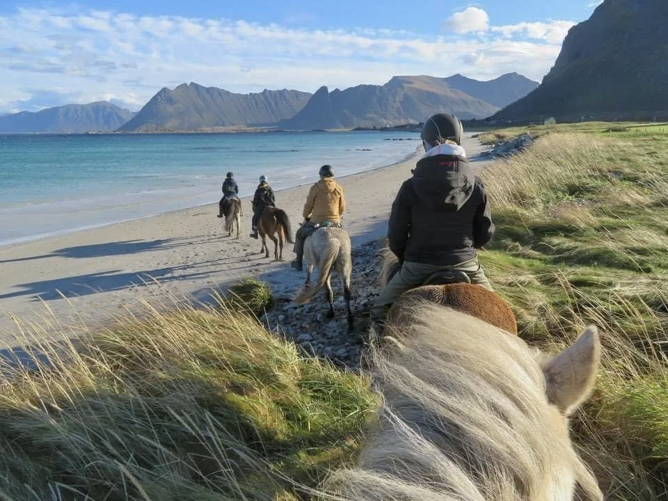 hov-gard-horse-farm-beach-gimsoy-lofoten