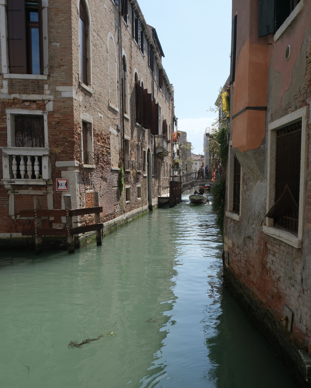 venice local guide best.png