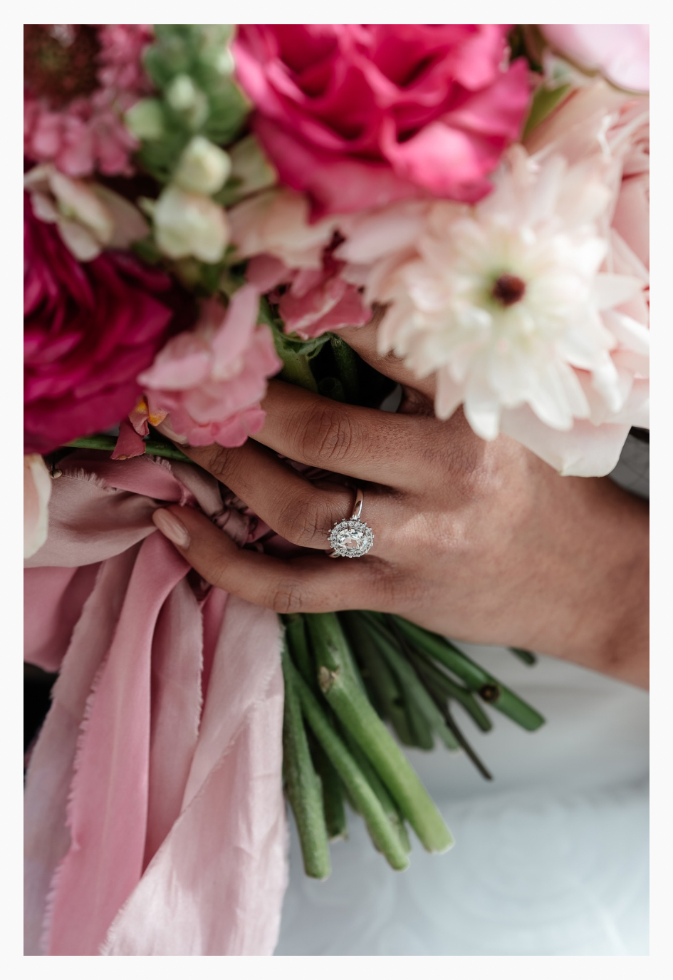 Images with Border [BELLADONNA].png