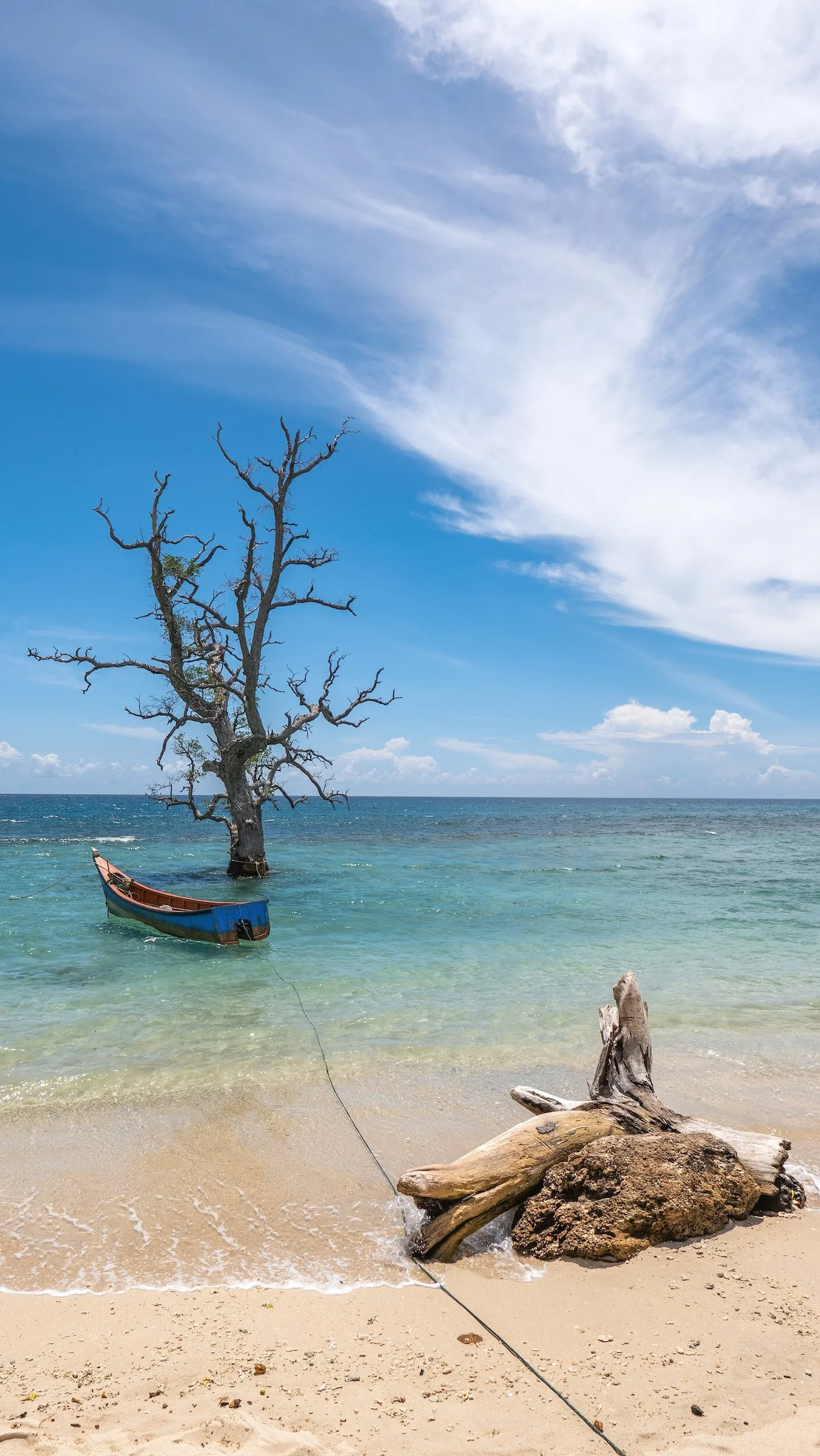 A deforested tree in the ocean near a sandy beach with driftwood and rocks, under a partly cloudy blue sky.