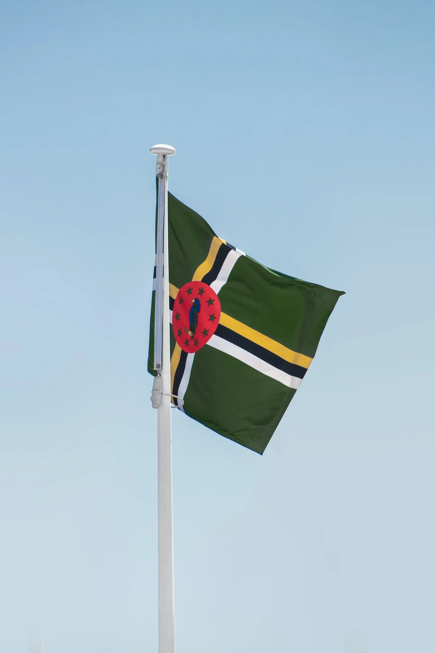 The flag of Dominica, featuring a green field with a cross of white, black, and yellow stripes, and a red circle with a Sisserou parrot in the center, flying against a clear blue sky.