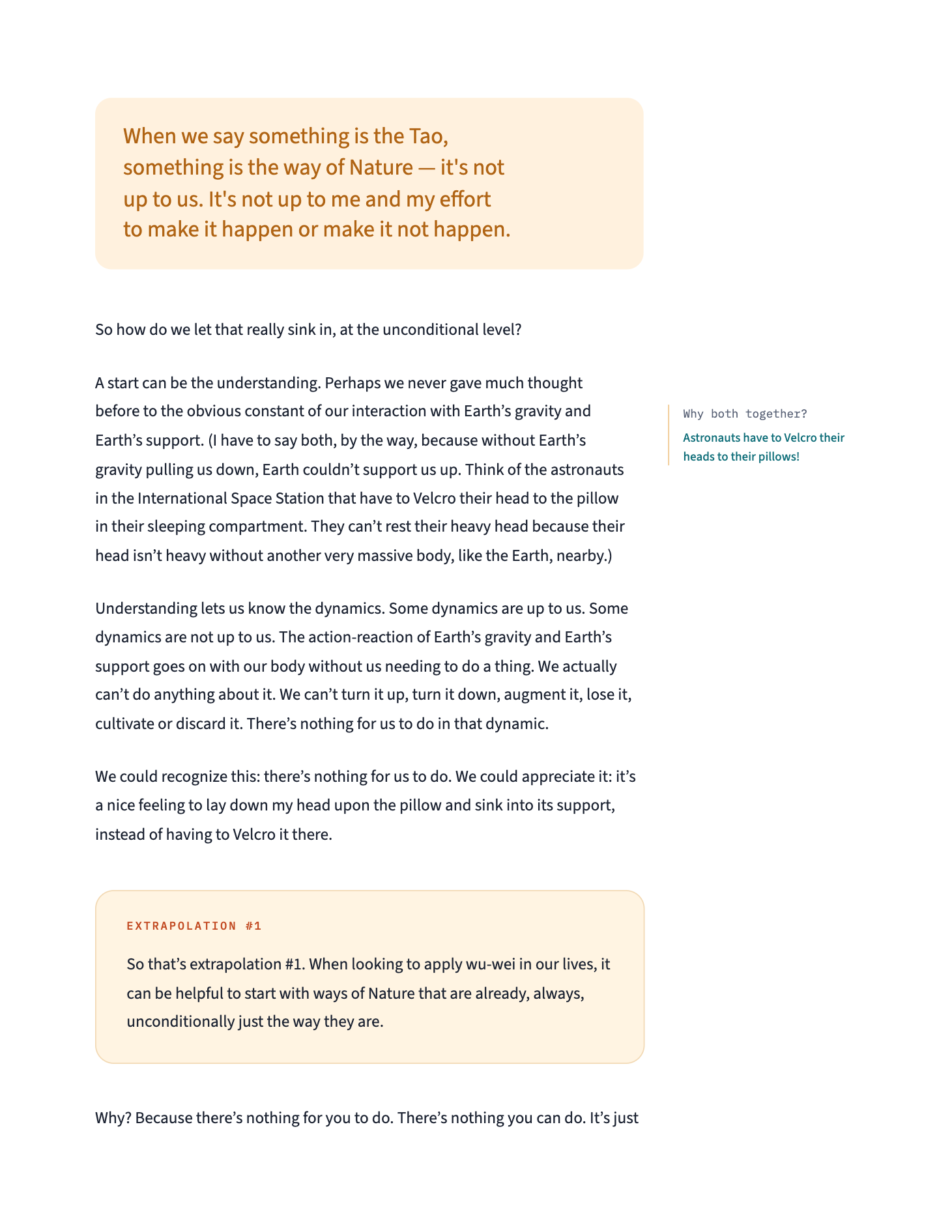 how-to-wu-wei-sample-2.png