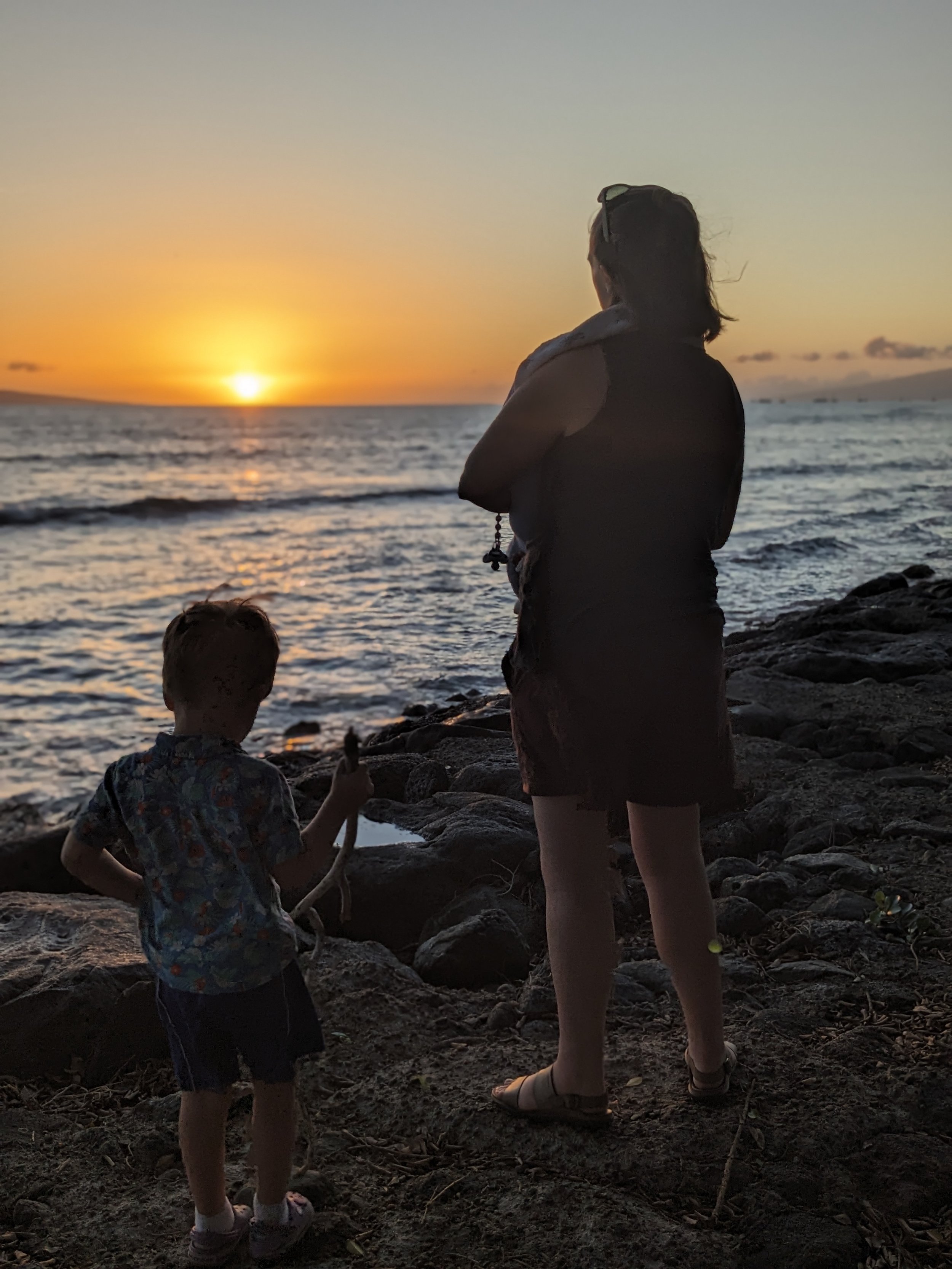 A mother and young children watching the sunset over the water