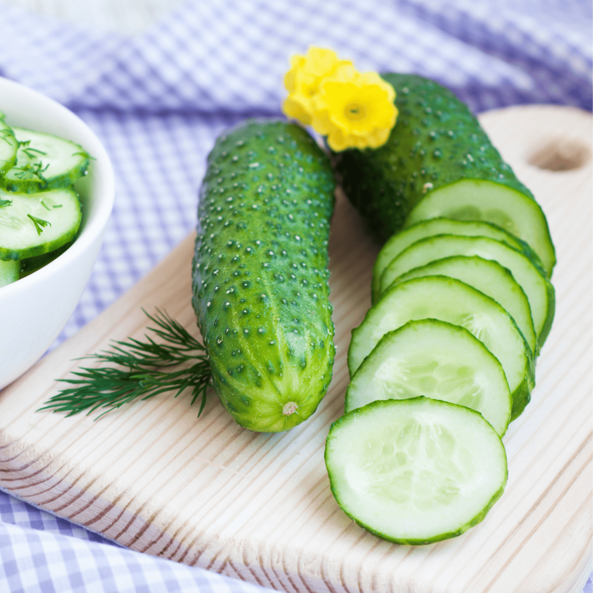 Salade de concombres en fines rondelles, assaisonnée au lait de coco et citron vert, parsemée de coriandre fraîche.