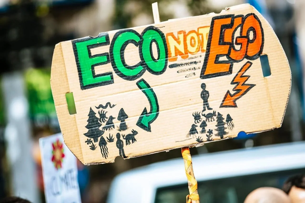 The Great, Green Holiday: Is Your Trip Sustainable or Greenwashed?