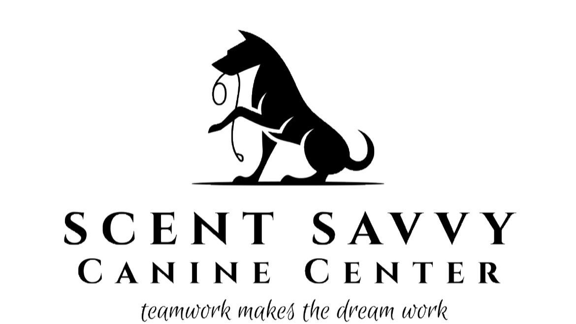 Scent Savvy Canine Center 