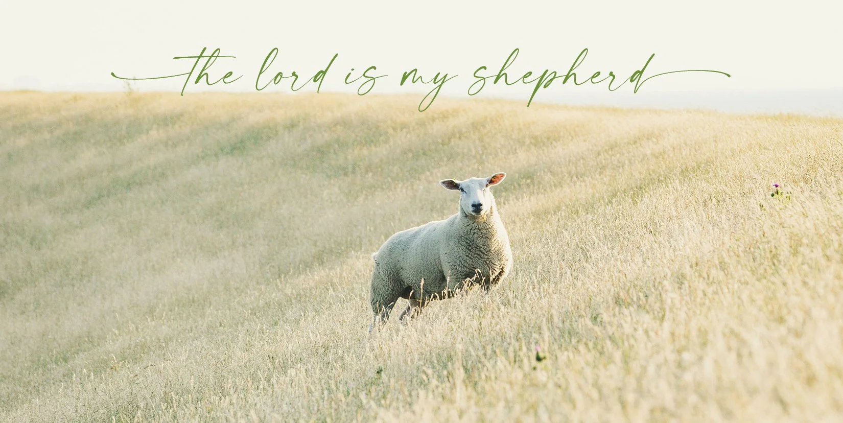 Sunday Bulletin 03.15.26