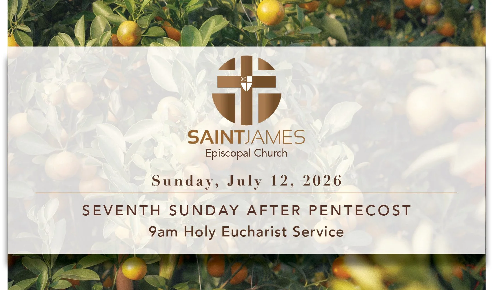 Sunday Bulletin 07.12.26