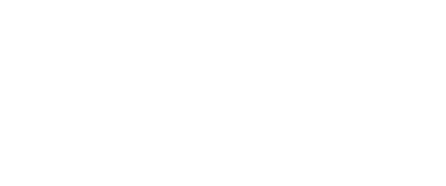 Ashinaga USA