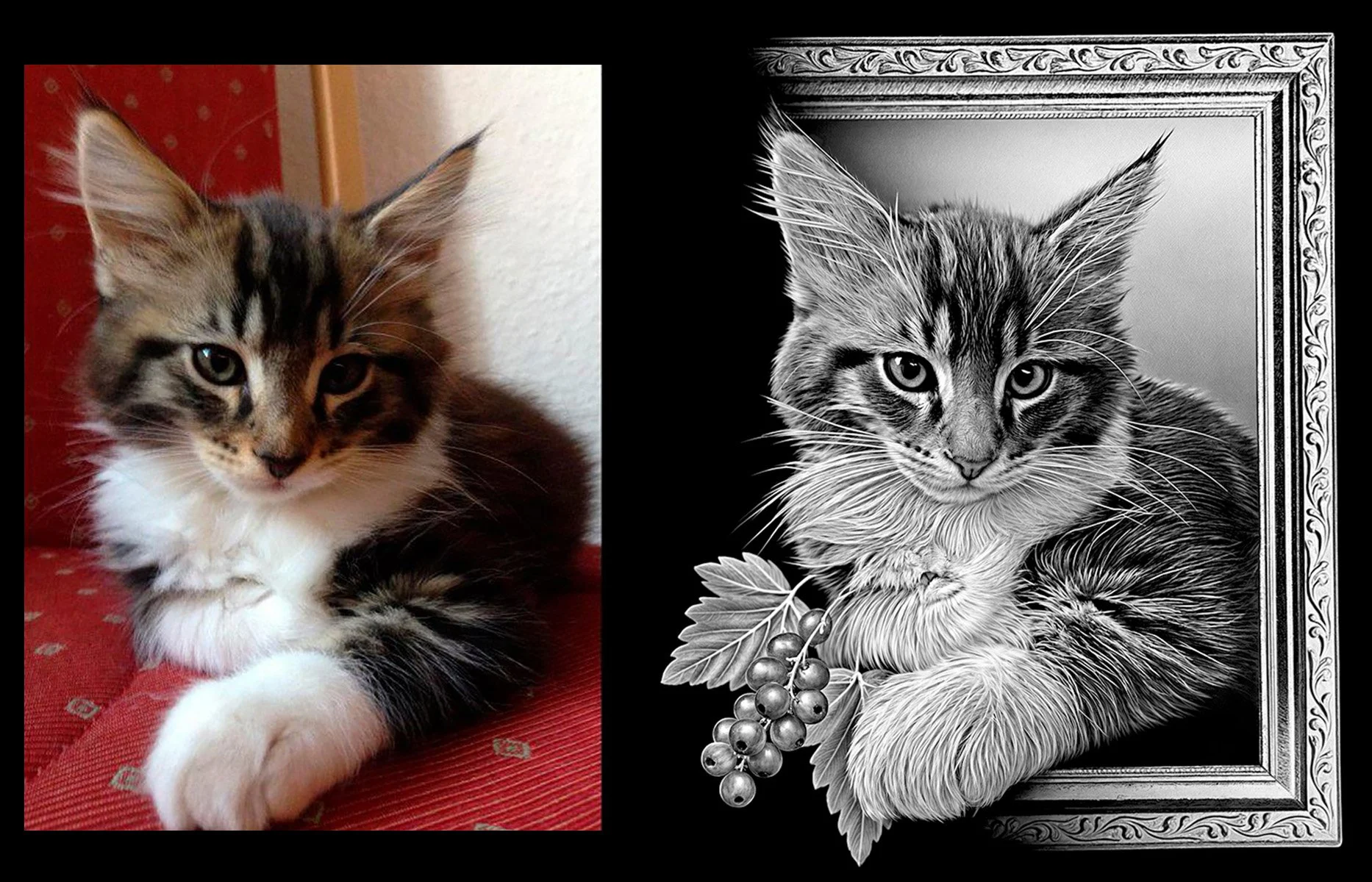 Before and after cat memorial portrait retouching optimized for engraving readability – Memora Prime Studio