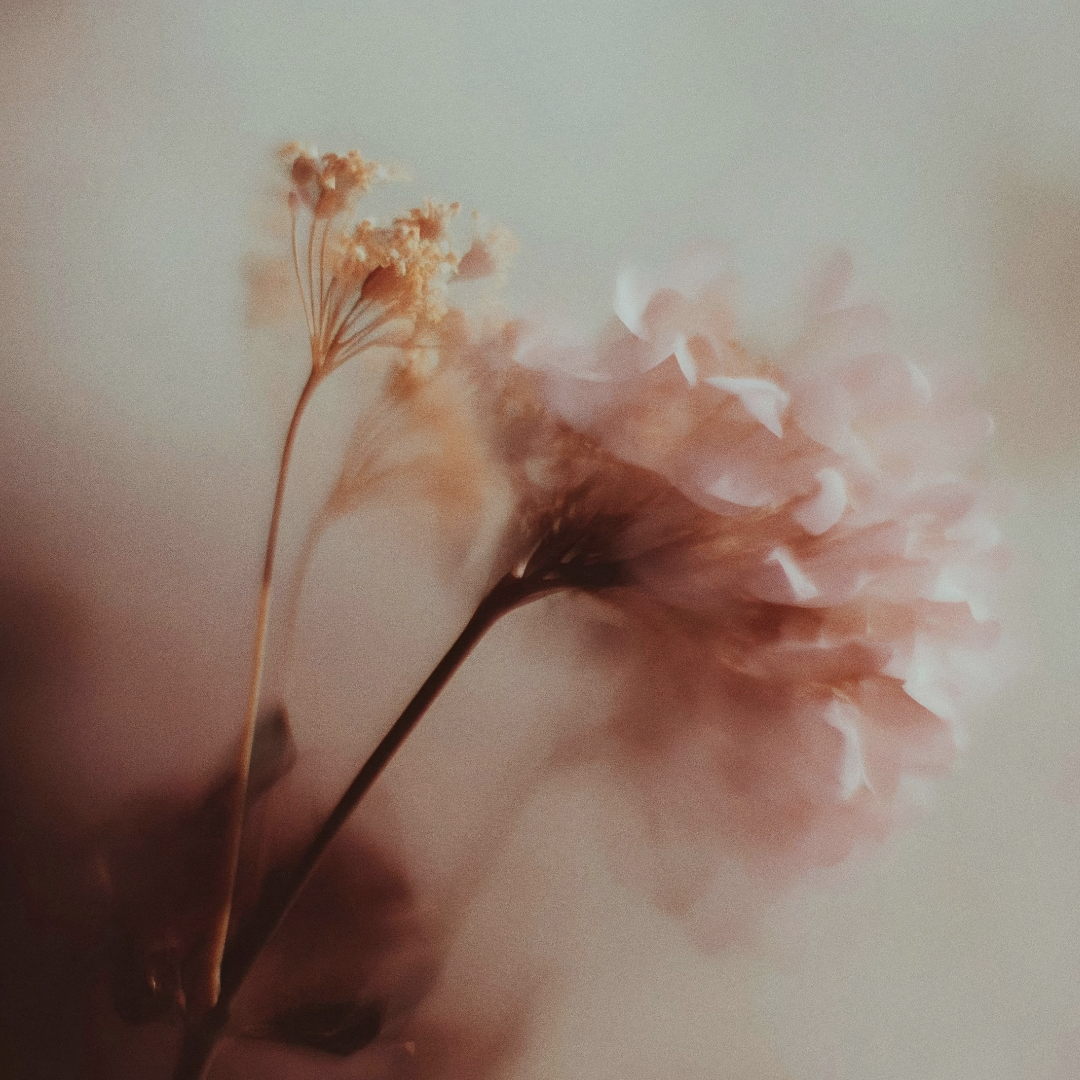 Conscious communication: from ‘but’ to ‘and’