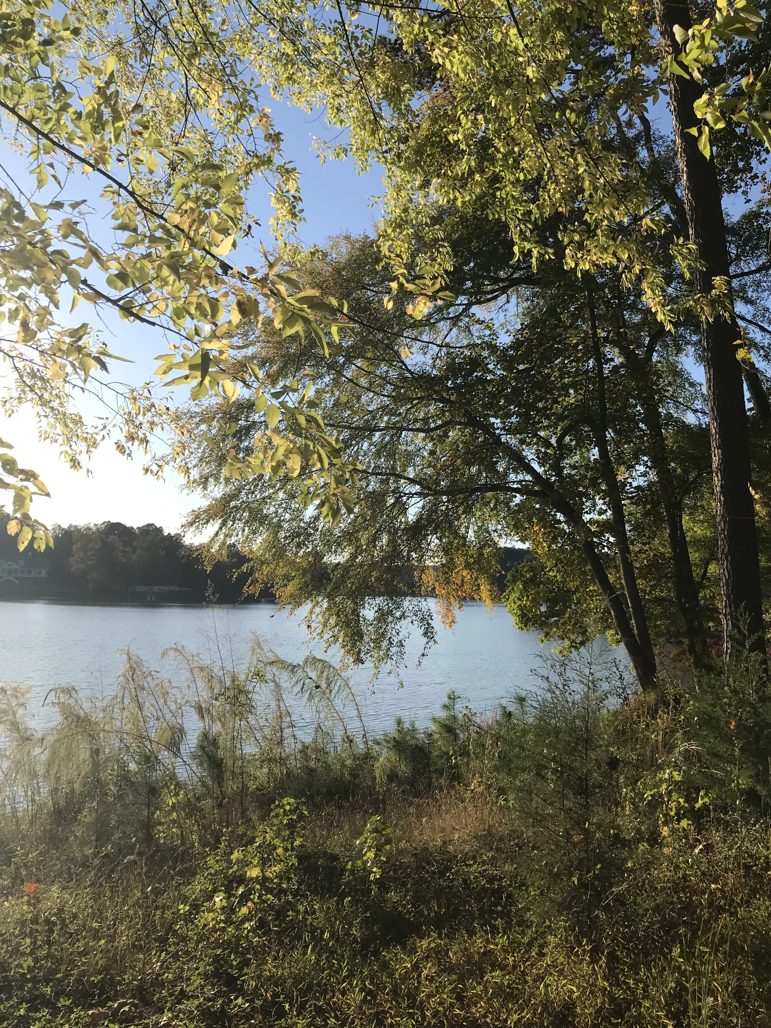 Seven Oaks Preserve Trail, Belmont, NC