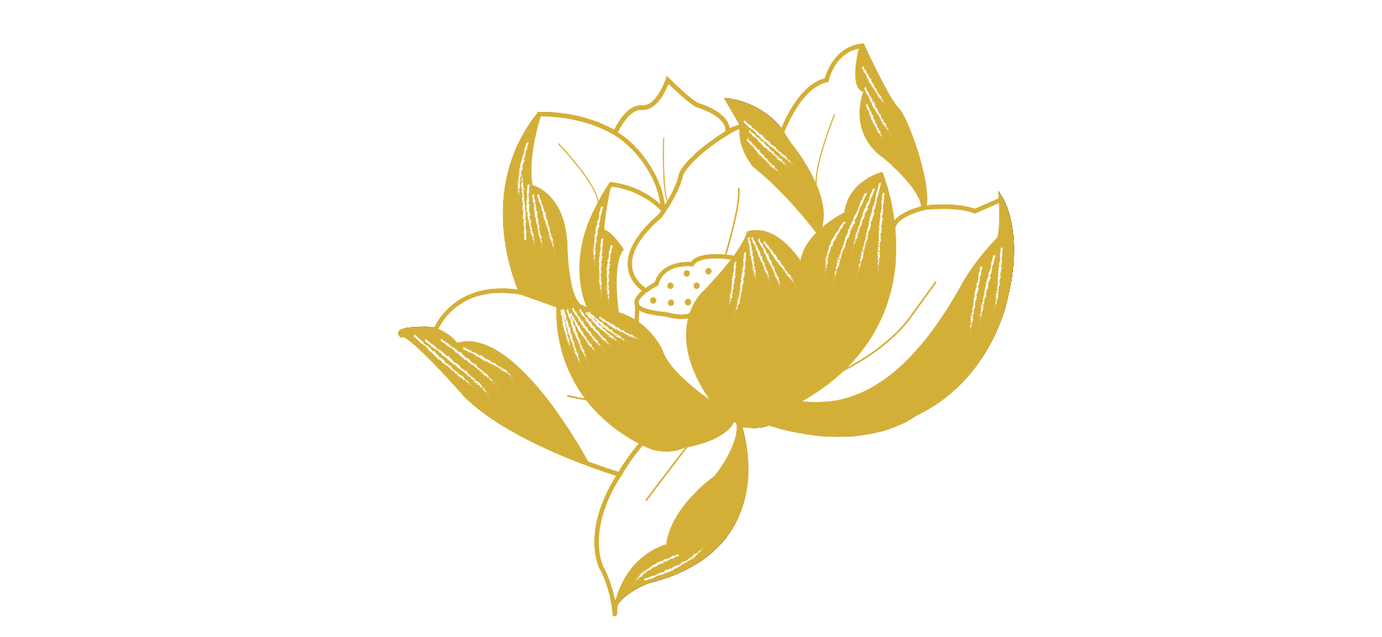 Gold and white stylized lotus flower illustration