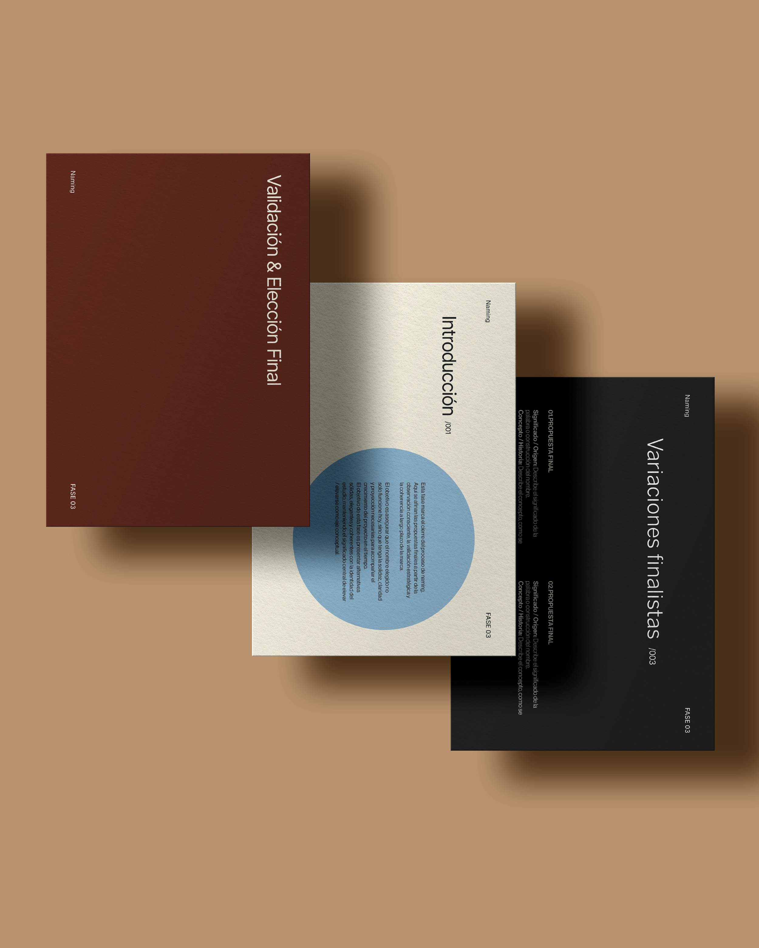 naming-squarespace_Mesa de trabajo 1 copia 43.png