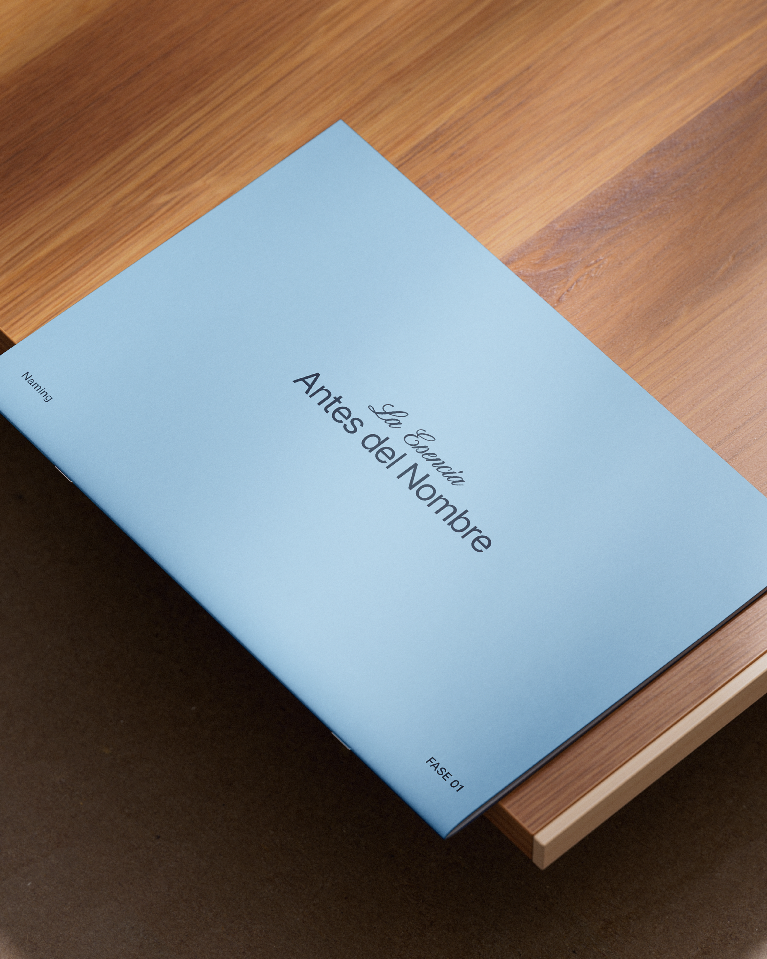 naming-squarespace_Mesa de trabajo 1 copia 42.png