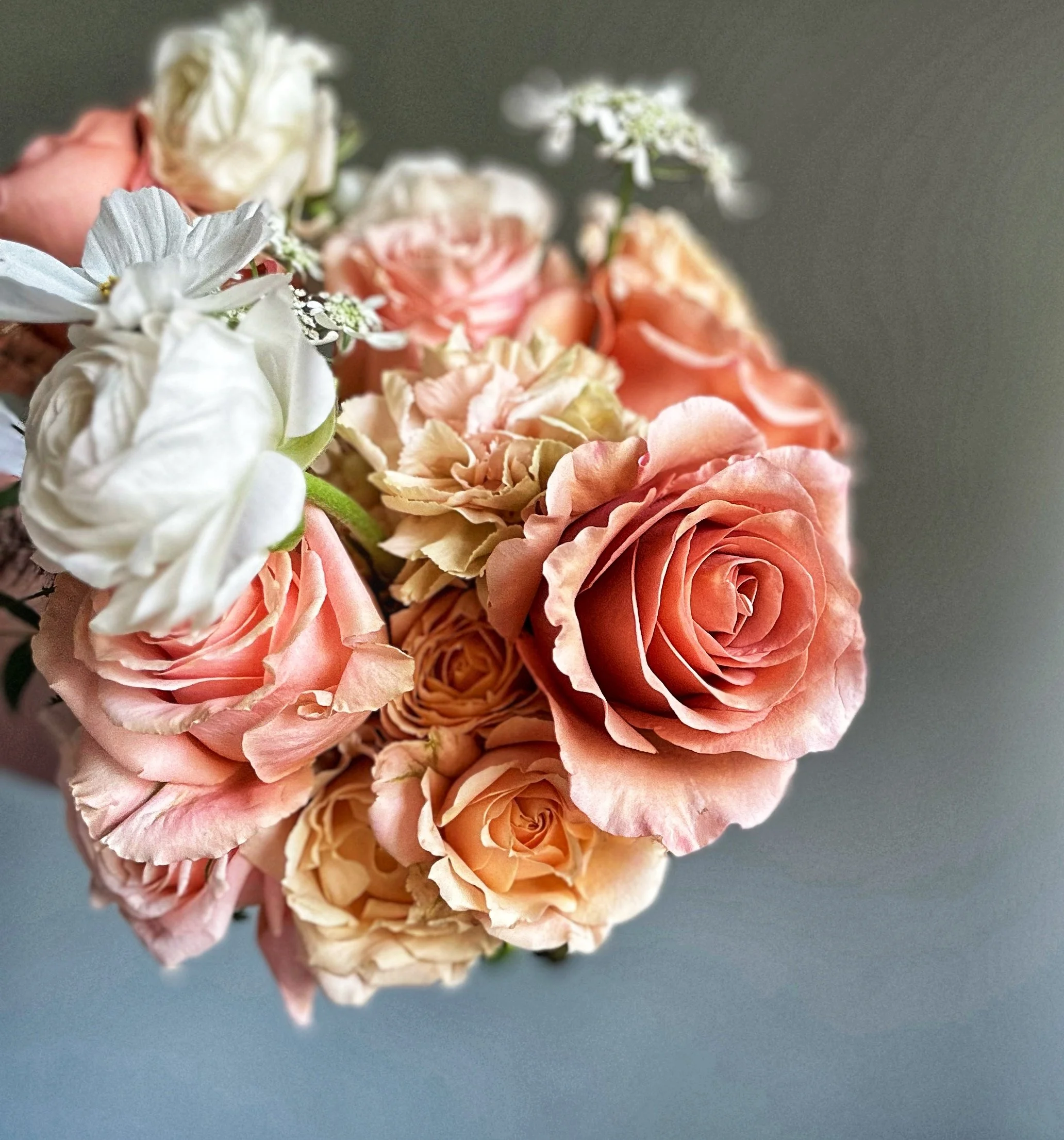 FullSizeRender 3.jpeg