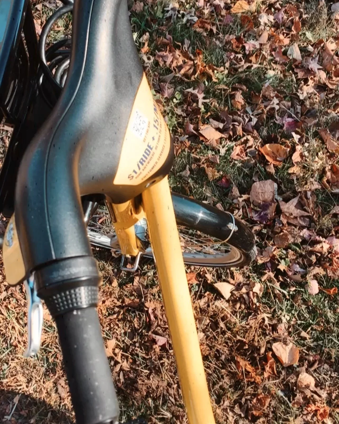 Monon Trail4.jpg