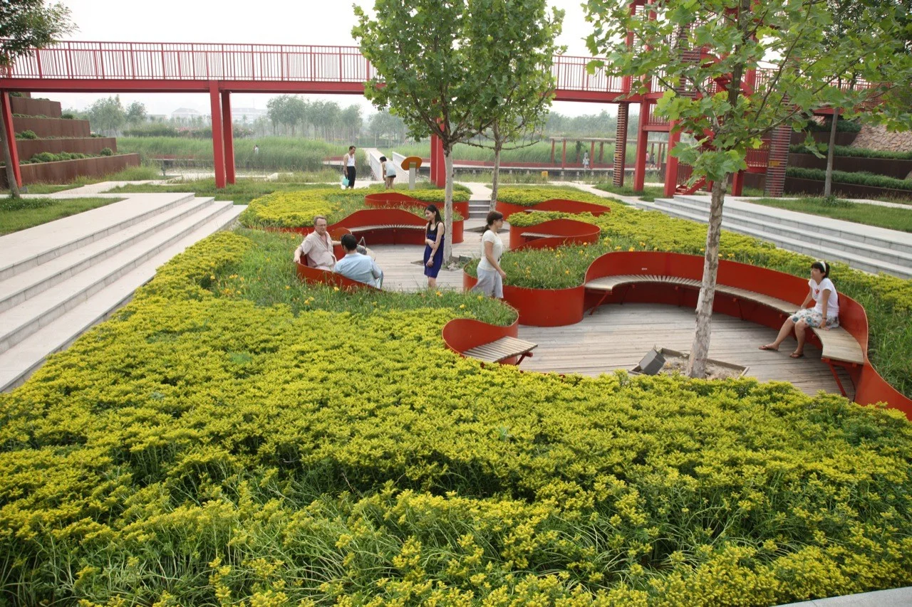 Constructed wetlands and terraced filtration systems at Houtan Park in Shanghai restoring river ecology.