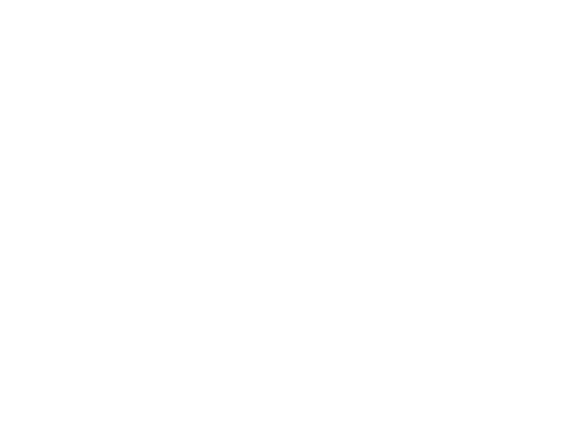 patagonia copy.png