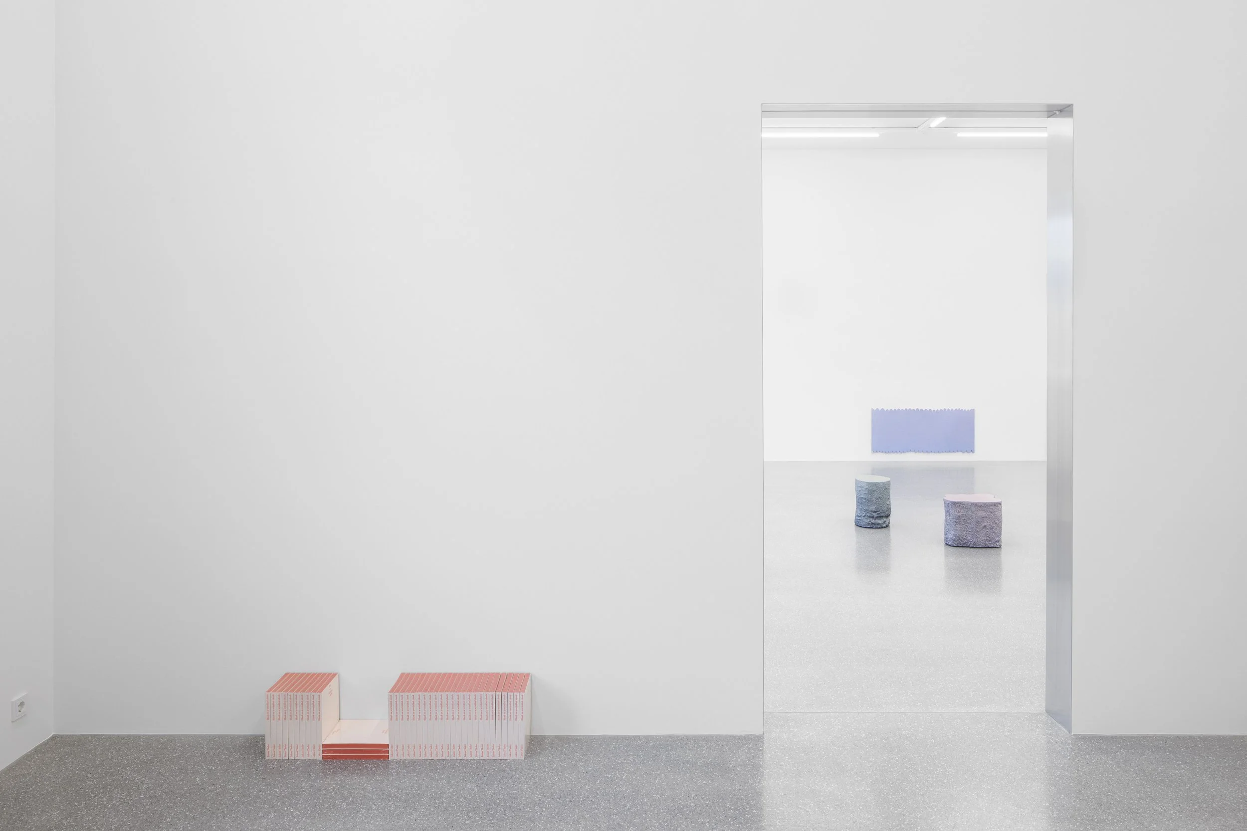 2026_Galerie Brugger_Lukas Thaler_Y3A9831_DIN A4_Markus Tretter.jpg