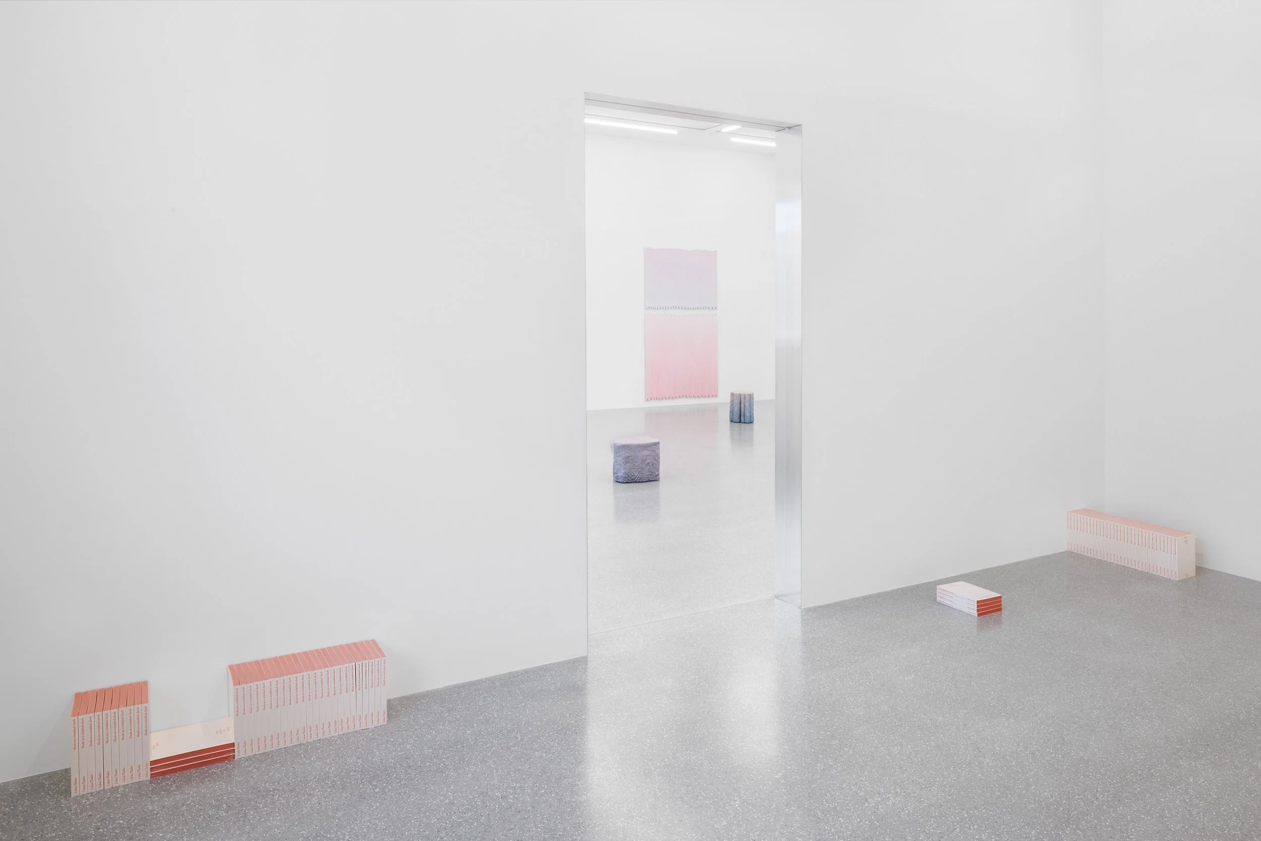 2026_Galerie Brugger_Lukas Thaler_Y3A9856_DIN A4_Markus Tretter.jpg