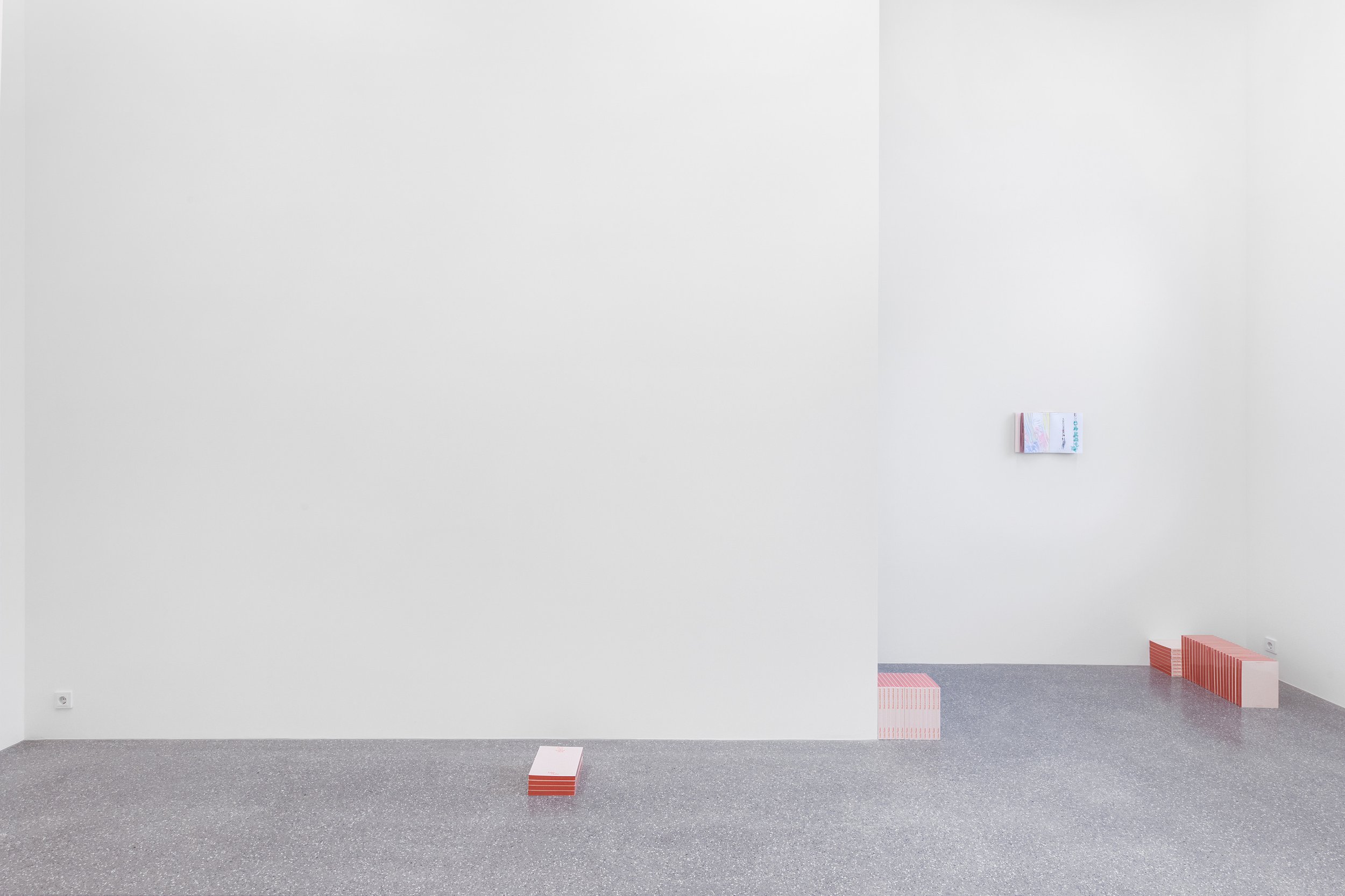 2026_Galerie Brugger_Lukas Thaler_Y3A9475_DIN A4_Markus Tretter.jpg