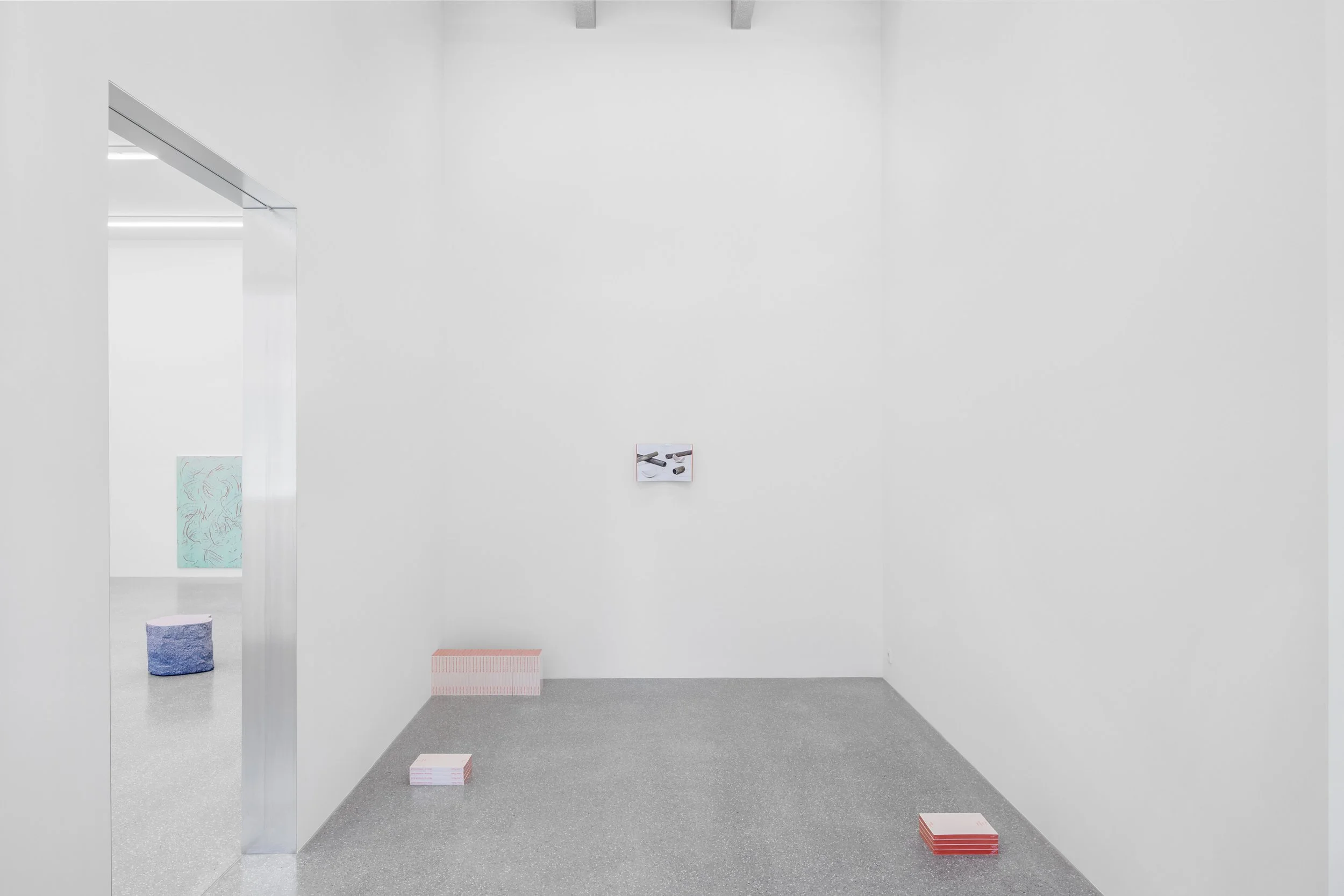 2026_Galerie Brugger_Lukas Thaler_Y3A9916_DIN A4_Markus Tretter.jpg