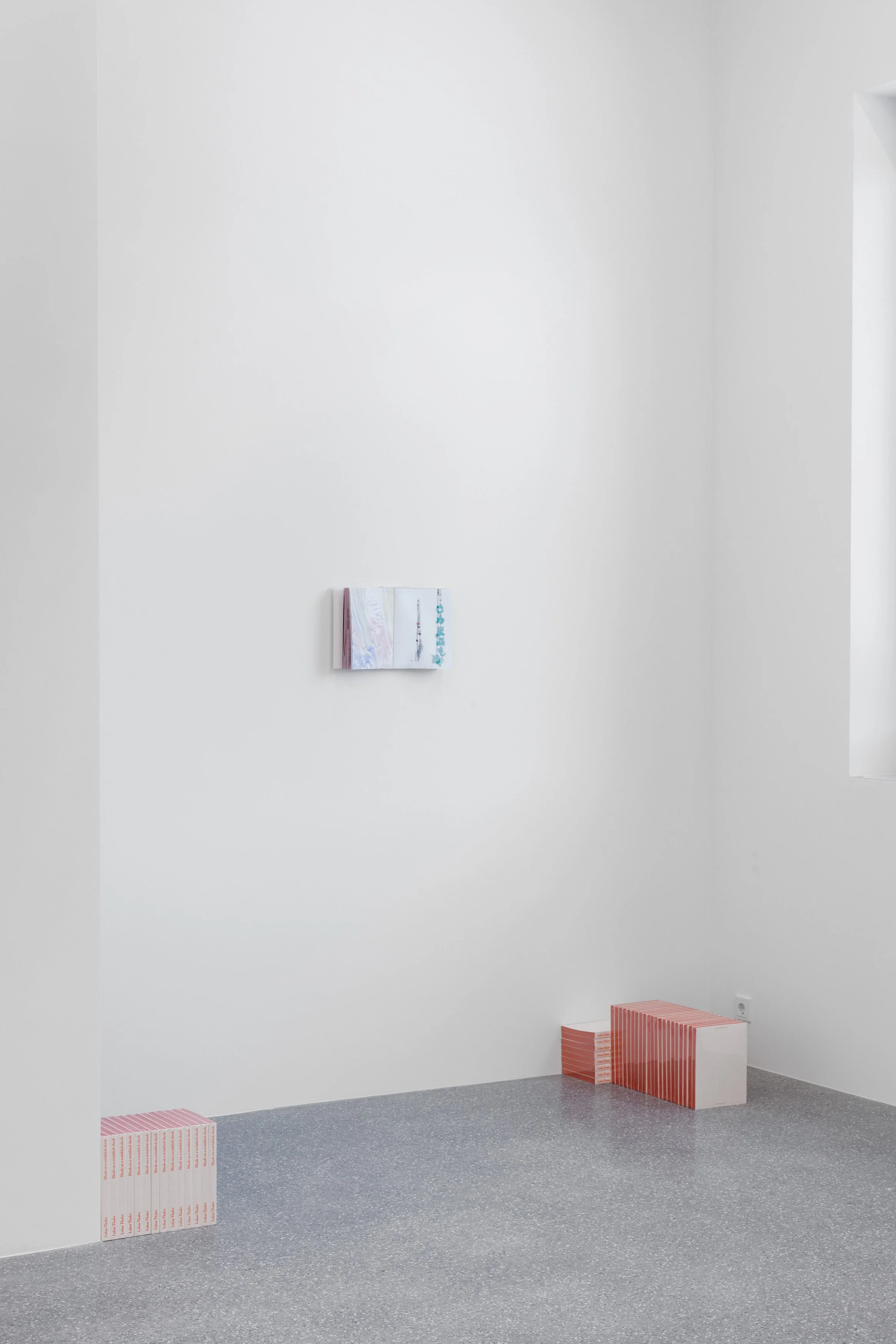 2026_Galerie Brugger_Lukas Thaler_Y3A9987_DIN A4_Markus Tretter.jpg