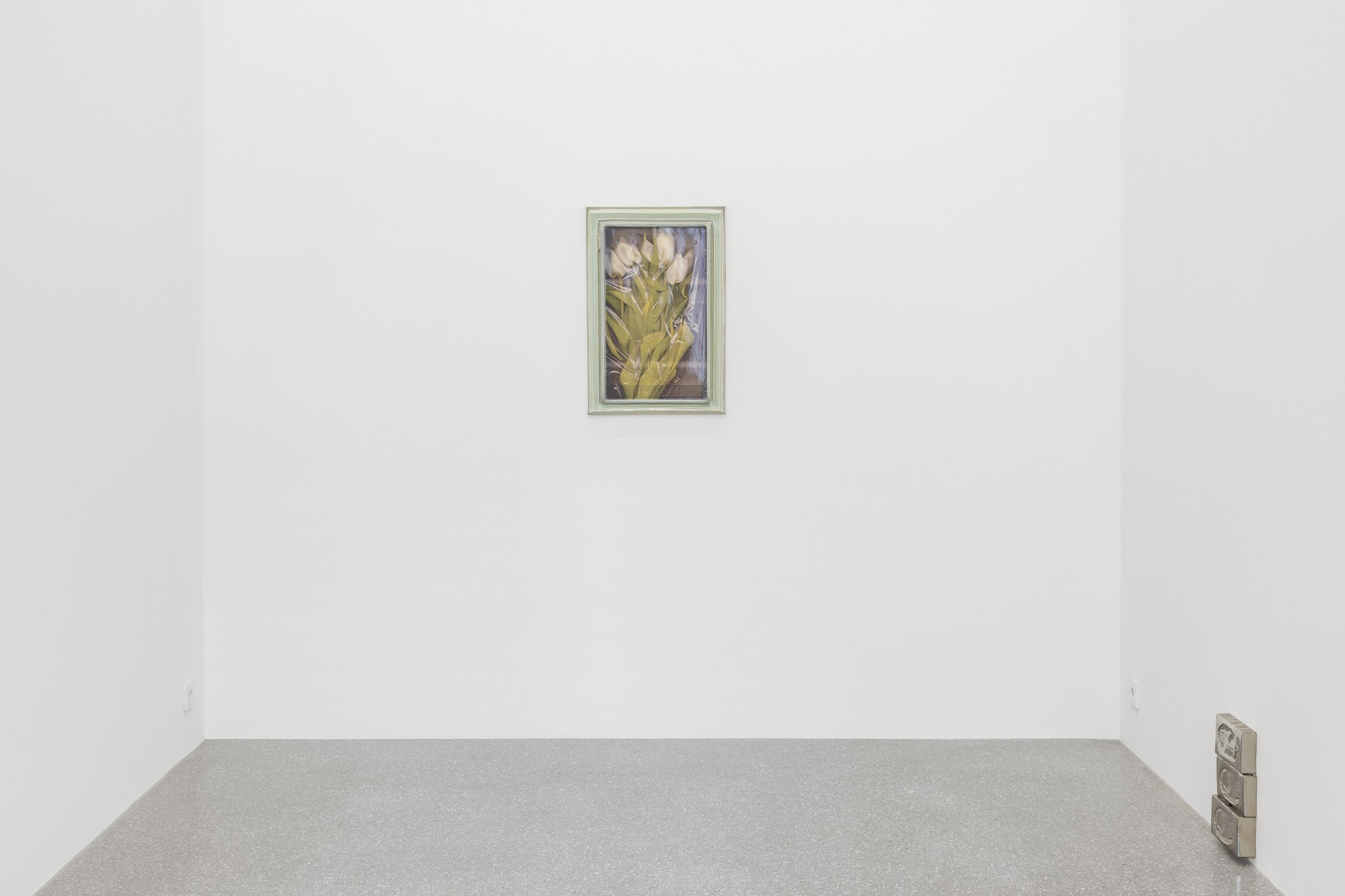 MONIKA GRABUSCHNIGG 
Cellophane 
25.09.-21.11.2026