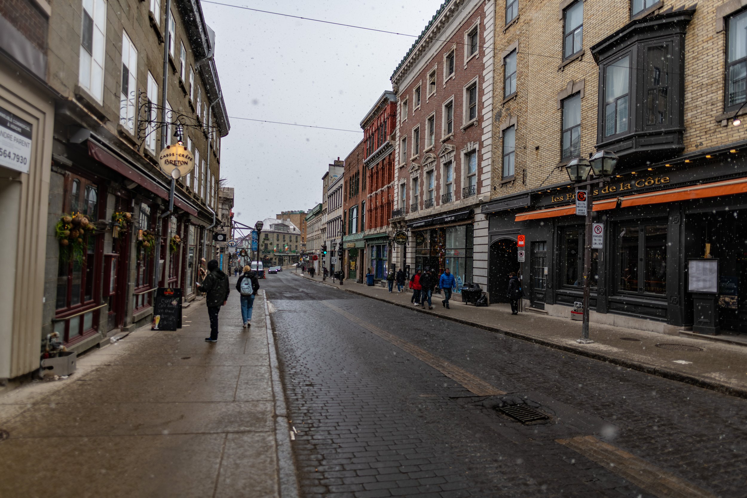 DSC_0239.jpg